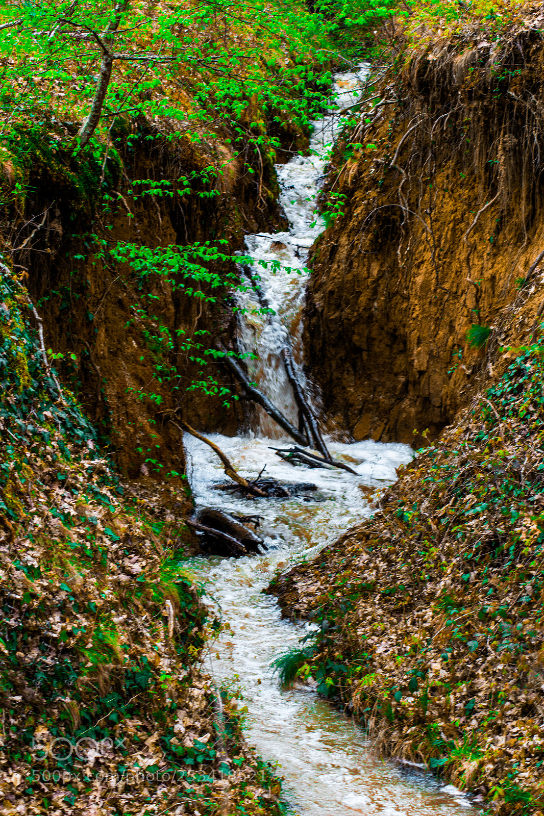 Canon EOS 100D (EOS Rebel SL1 / EOS Kiss X7) sample photo. Waterfall in the woods photography