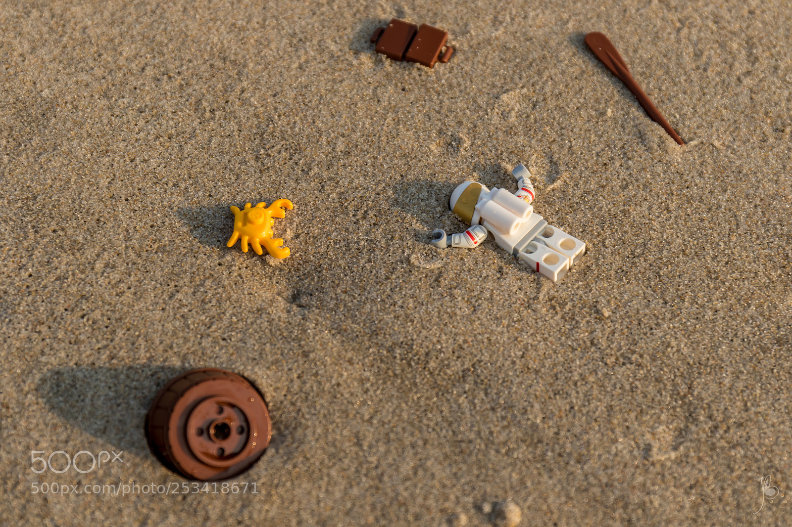 Canon EOS 7D Mark II sample photo. Hard landing (2/6) photography