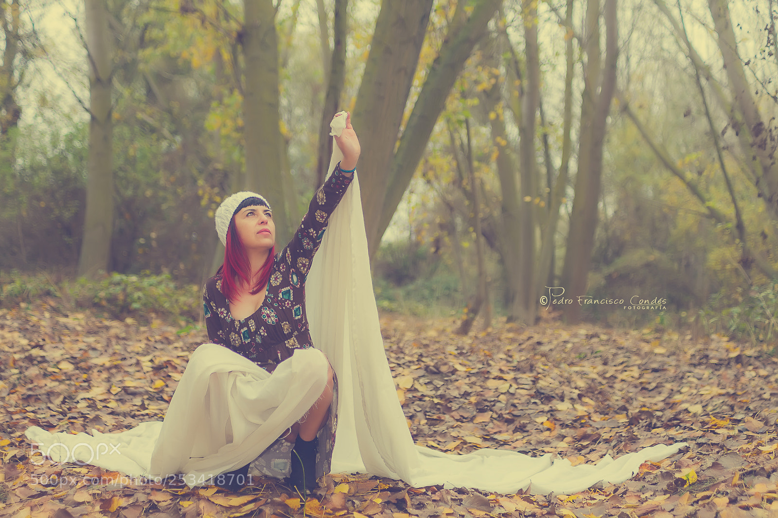 Canon EOS 5D Mark II sample photo. La niebla de oto photography