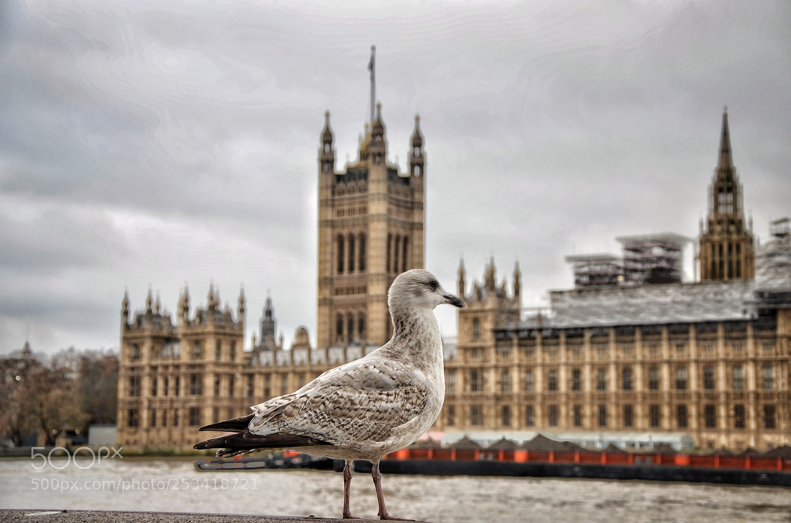 Nikon D5100 sample photo. The tourist. photography