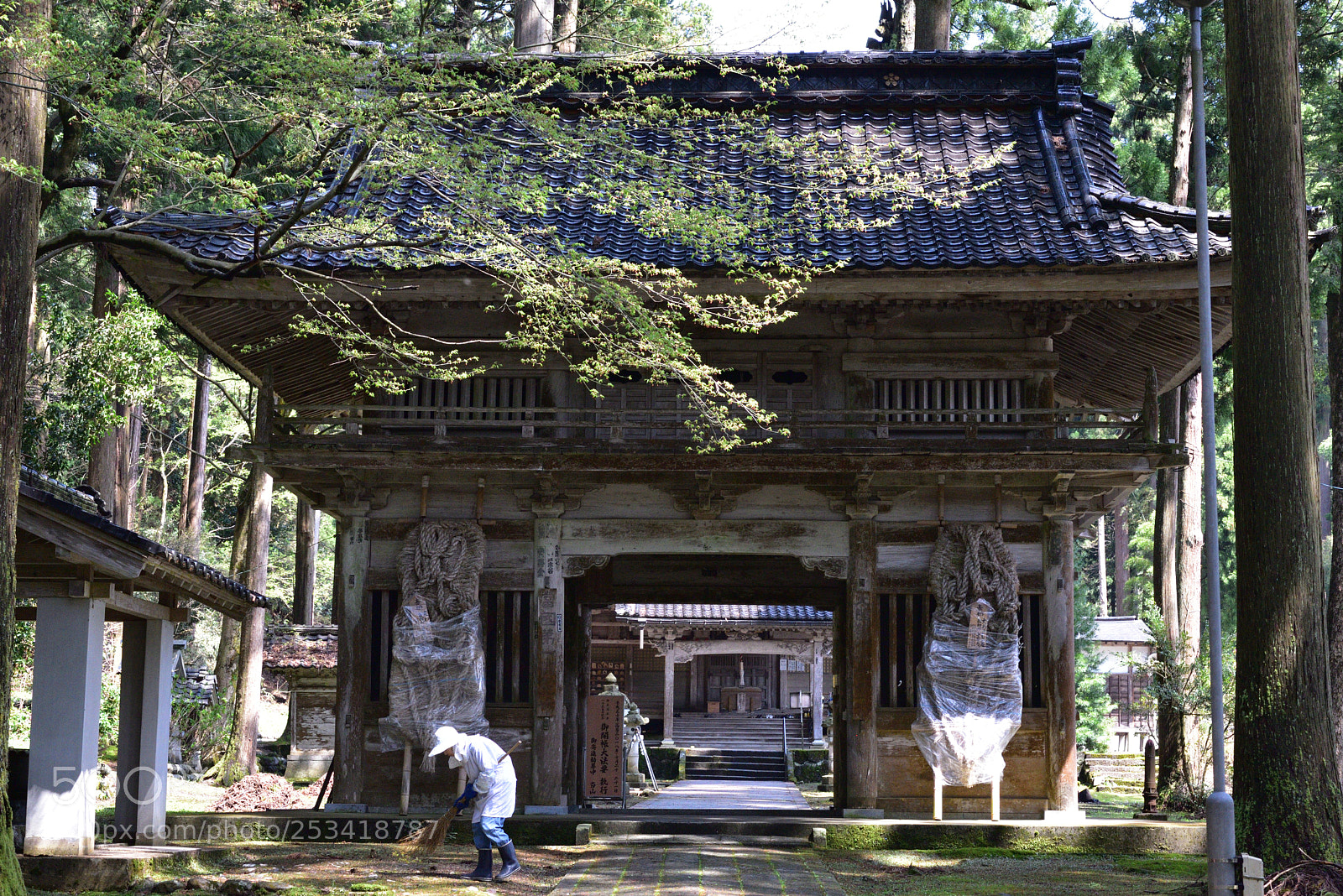Nikon AF-S Micro-Nikkor 60mm F2.8G ED sample photo. 安居寺の山門 富山南砺福野 photography