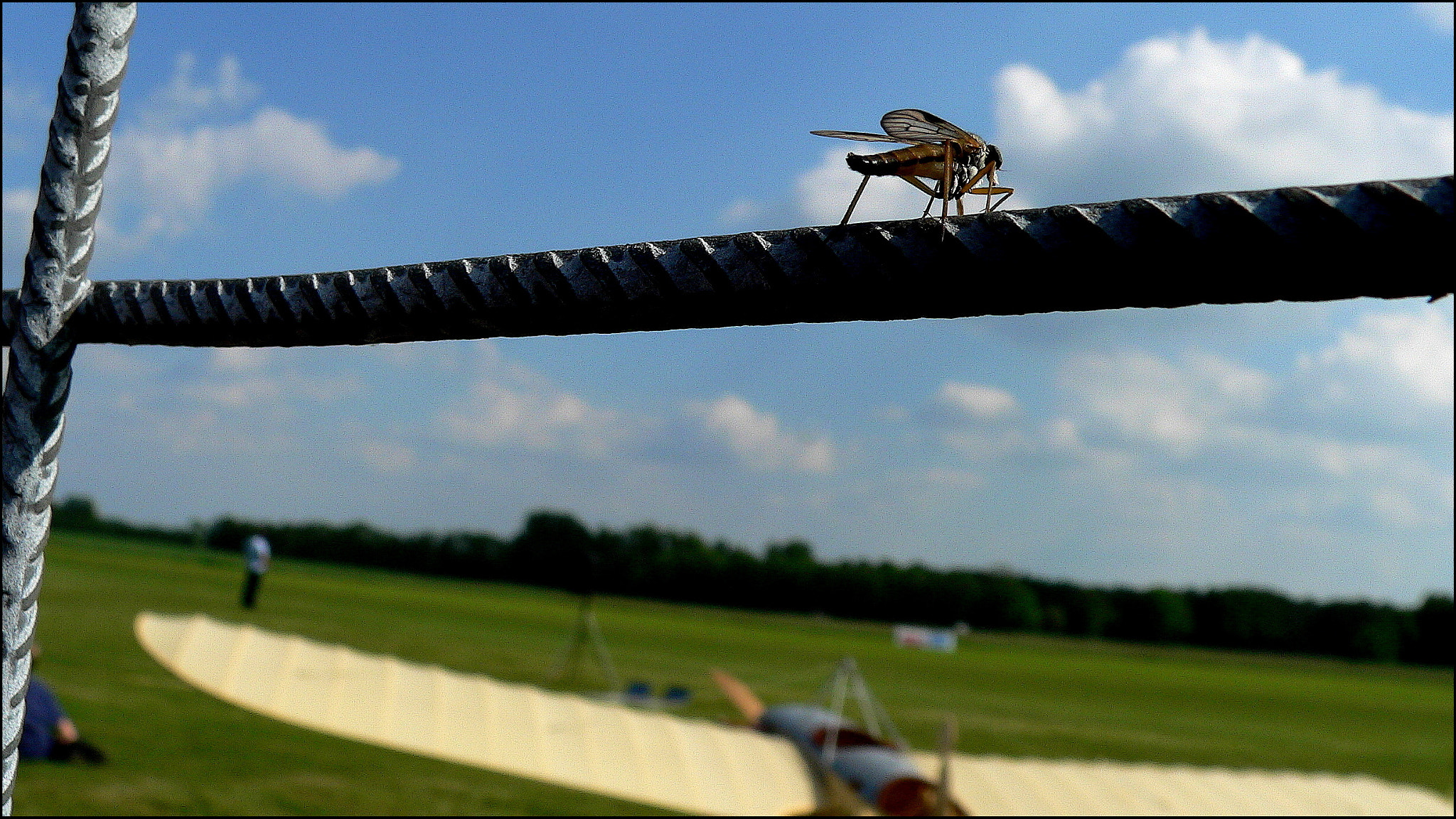 Panasonic DMC-FZ20 sample photo. Wish i could fly! photography