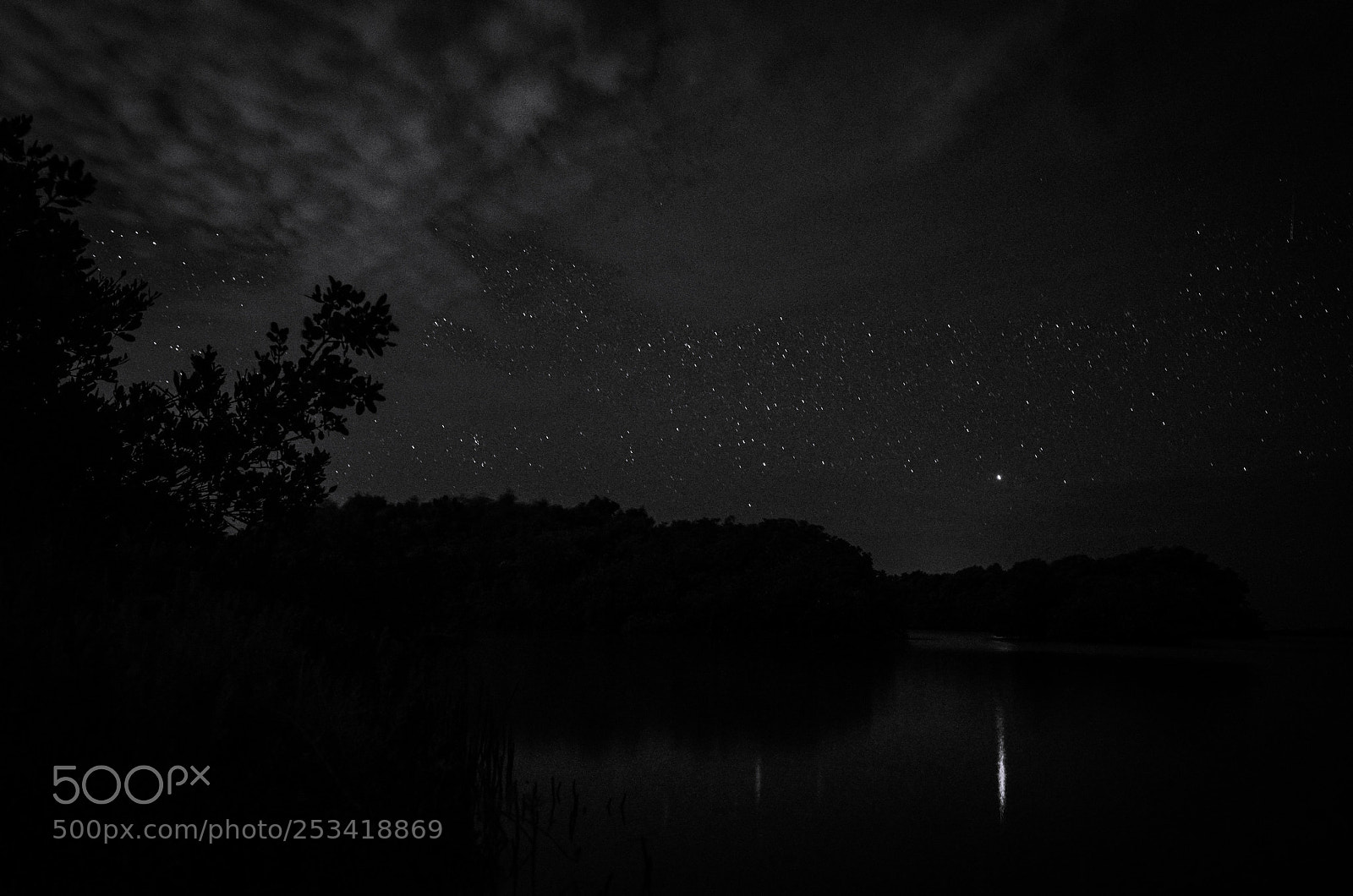 Nikon D5100 sample photo. Water mirror photography