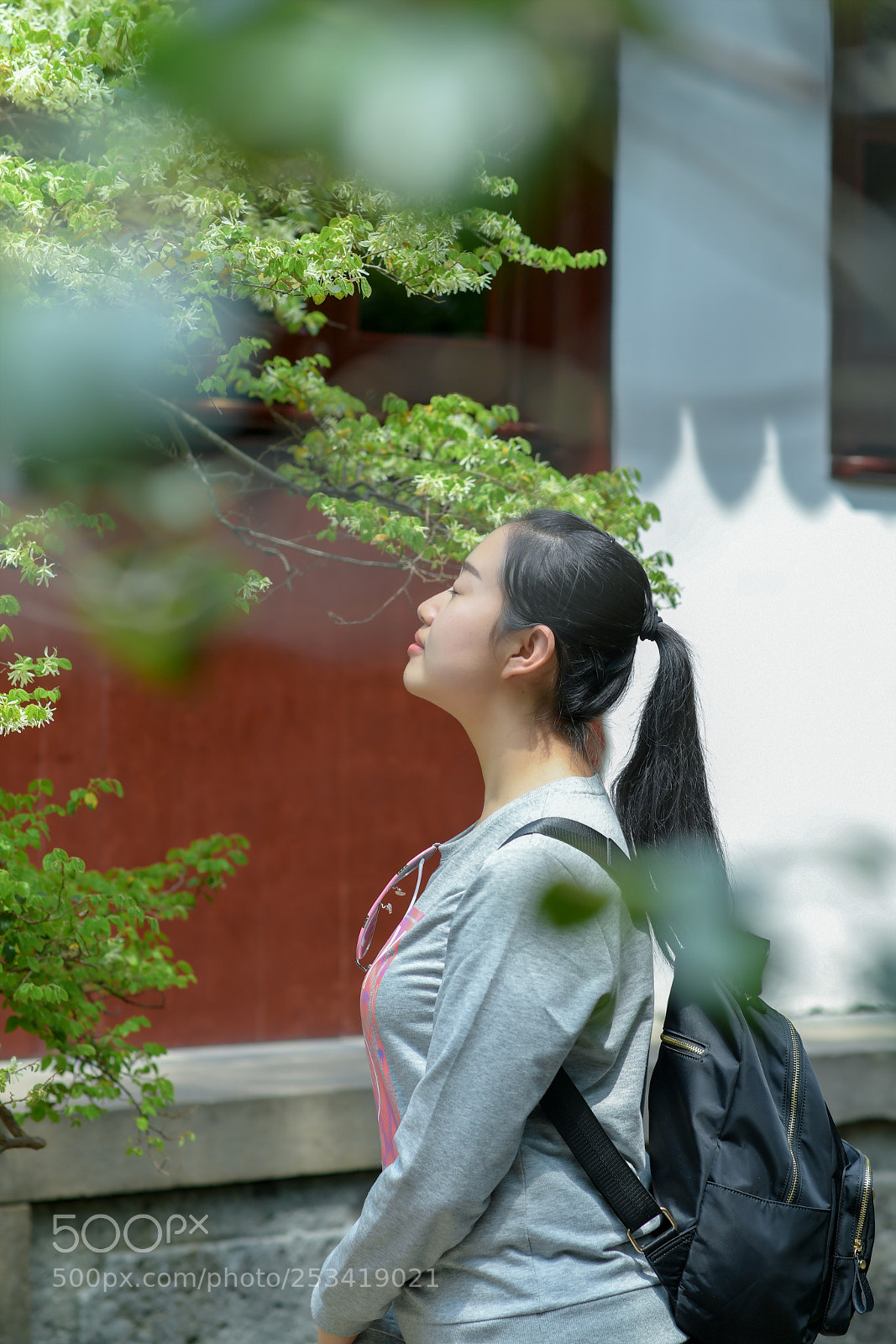 Nikon D5 sample photo. Untitled photography