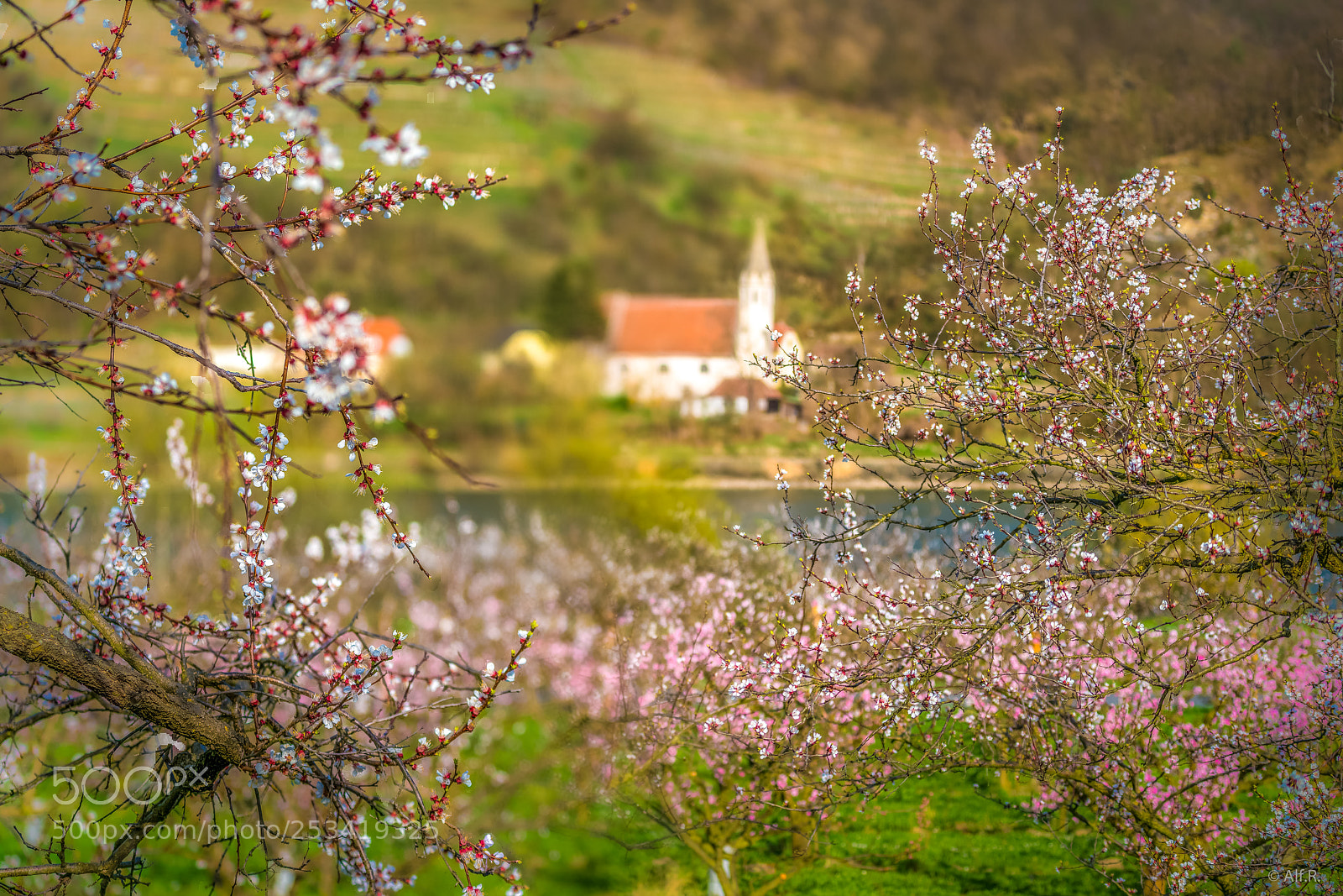 Sony a7R II sample photo. This is the wachau photography