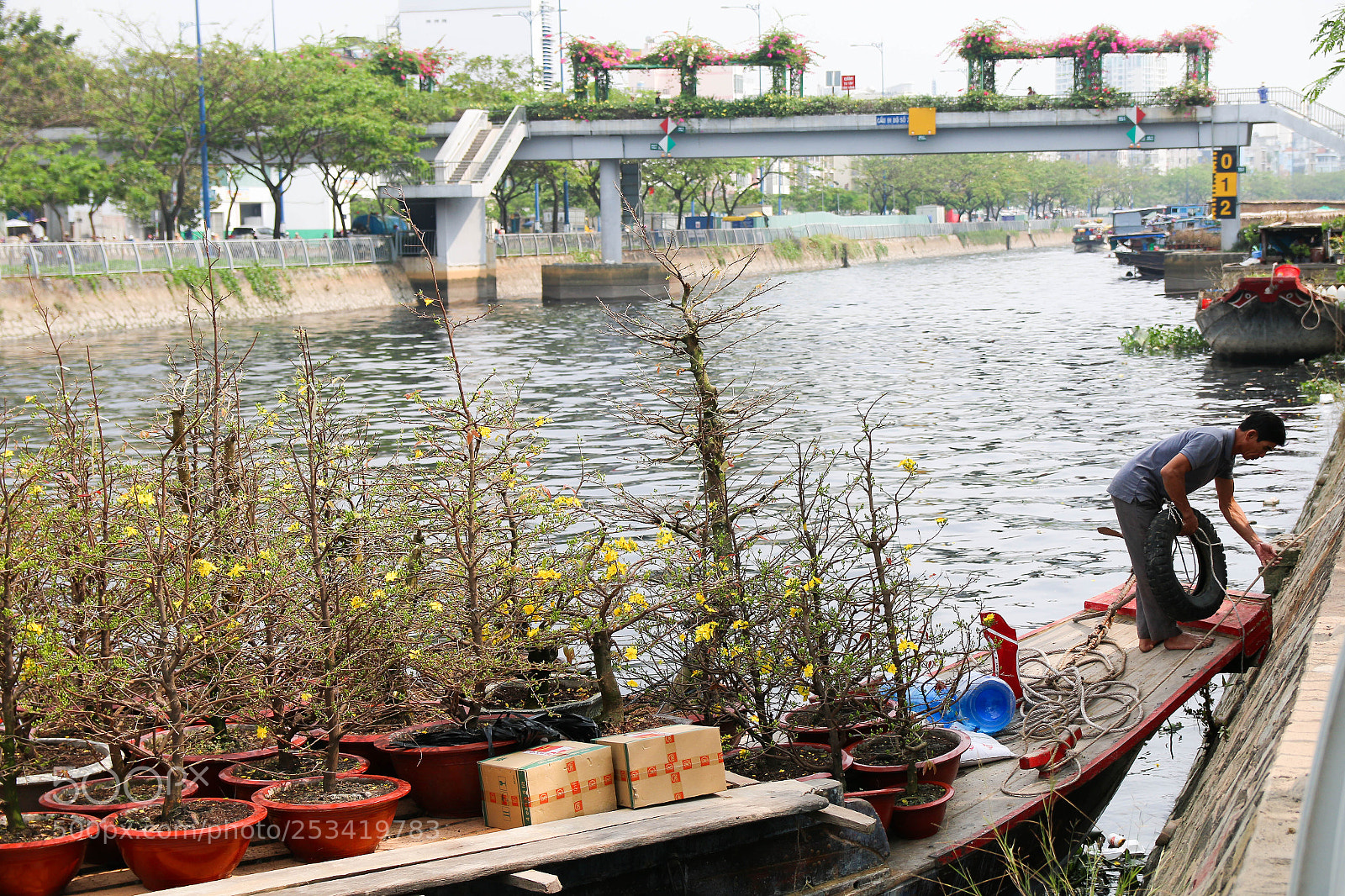 Canon EOS 70D sample photo. Carry the spring to photography