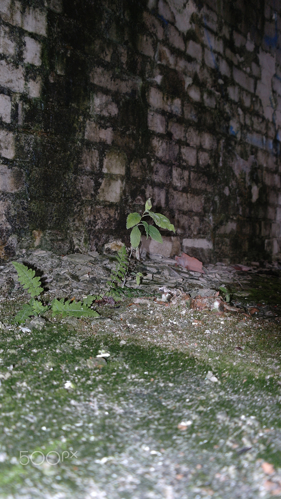 Samsung NX10 sample photo. Abandoned photography