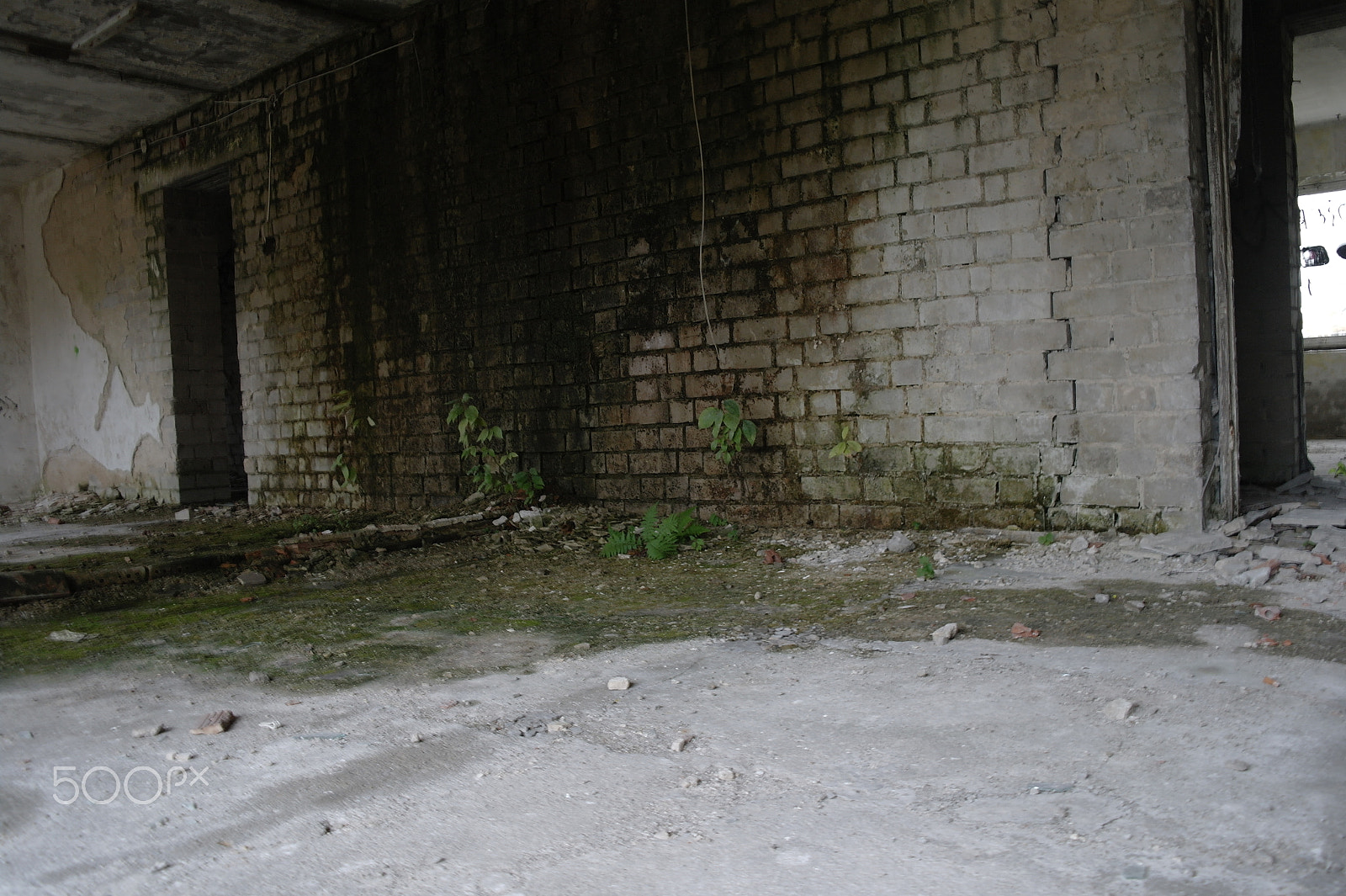 Samsung NX10 sample photo. Abandoned photography