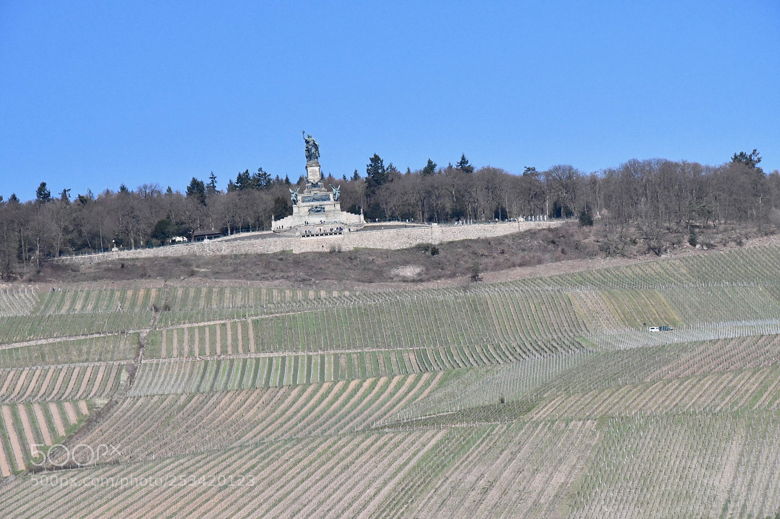 Nikon D7500 sample photo. Vineyard patterns below the photography