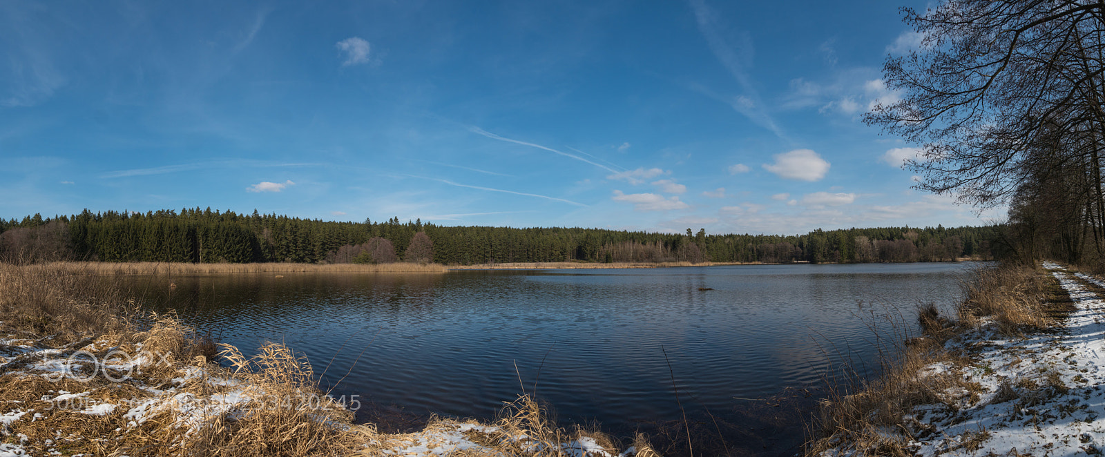 Panasonic Lumix DMC-GX8 sample photo. Kammerweiher photography