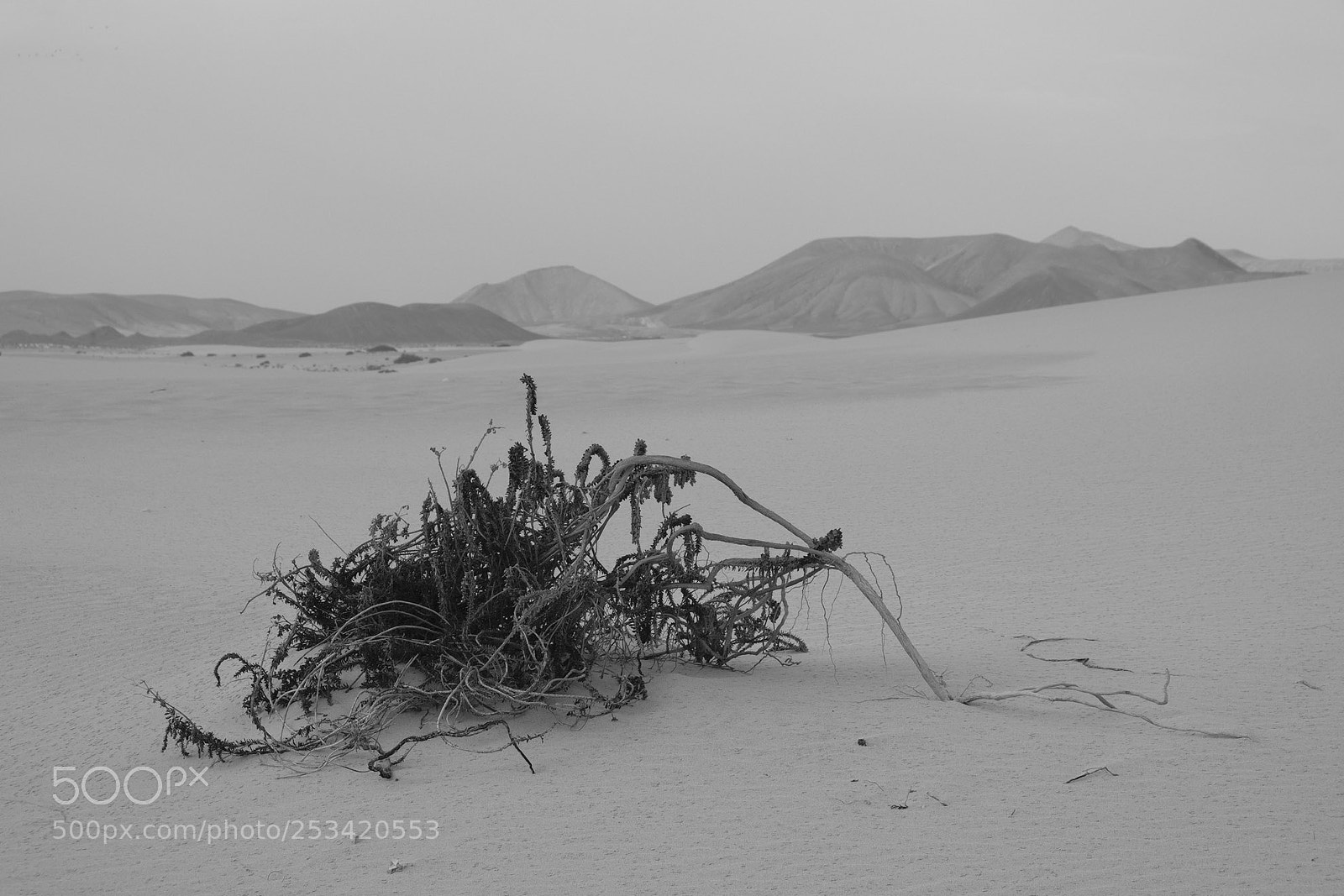 Fujifilm X-T20 sample photo. Shades of grey photography