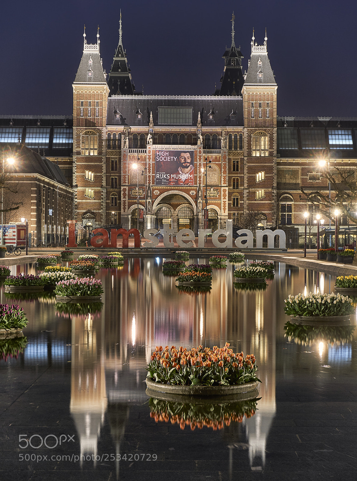 Sony a6000 sample photo. Tulips at the rijksmuseum photography