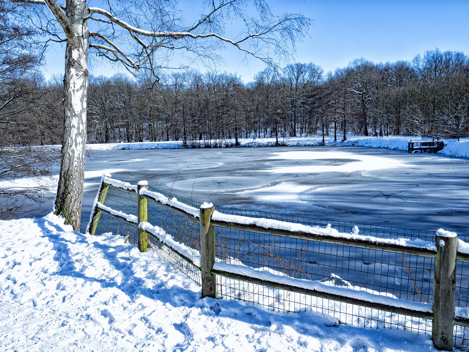 Olympus OM-D E-M1 Mark II sample photo. Dernière neige photography