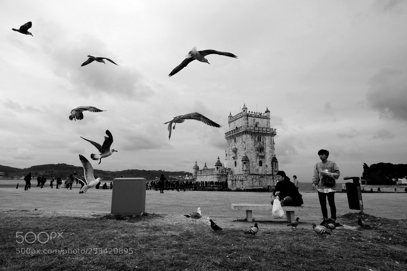 Fujifilm X-T1 sample photo. Untitled photography