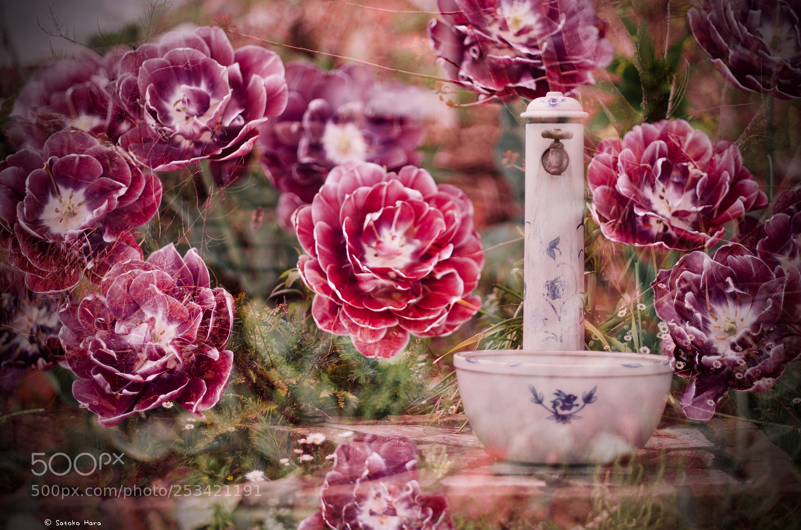 Pentax K-5 IIs sample photo. The secret garden photography