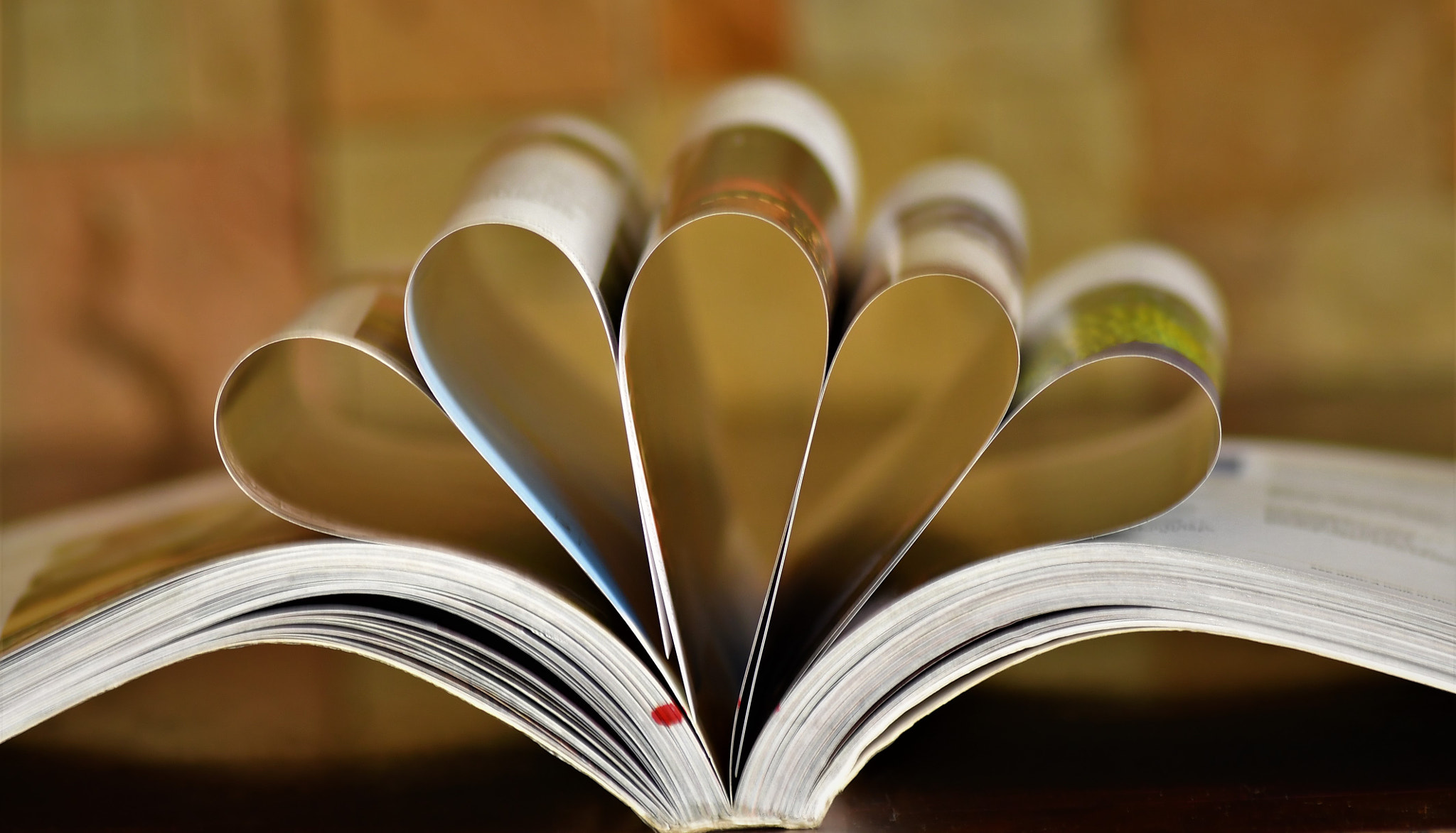 Nikon D7500 sample photo. Art of books photography