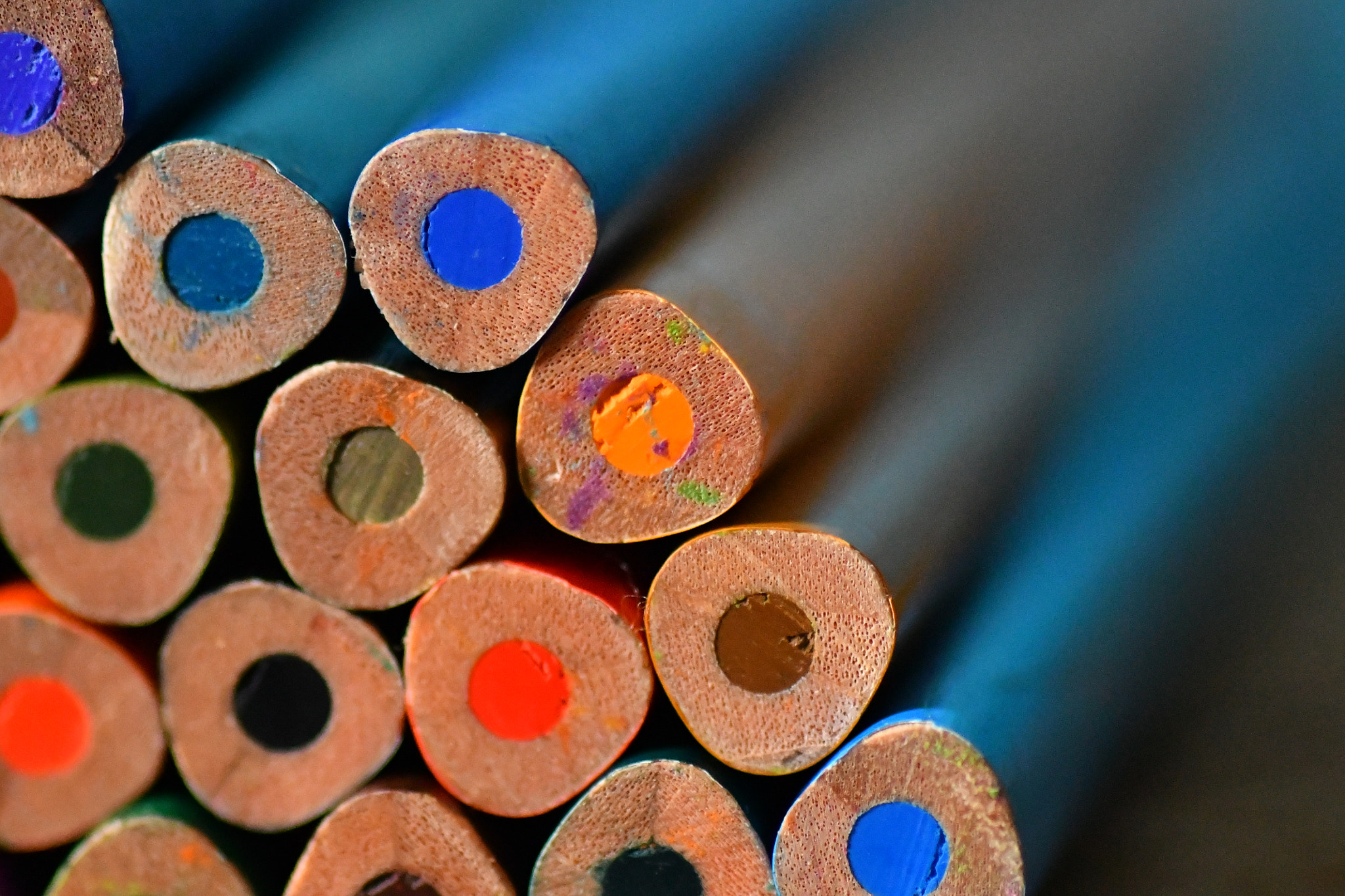 Nikon D7500 sample photo. Shades of colors photography