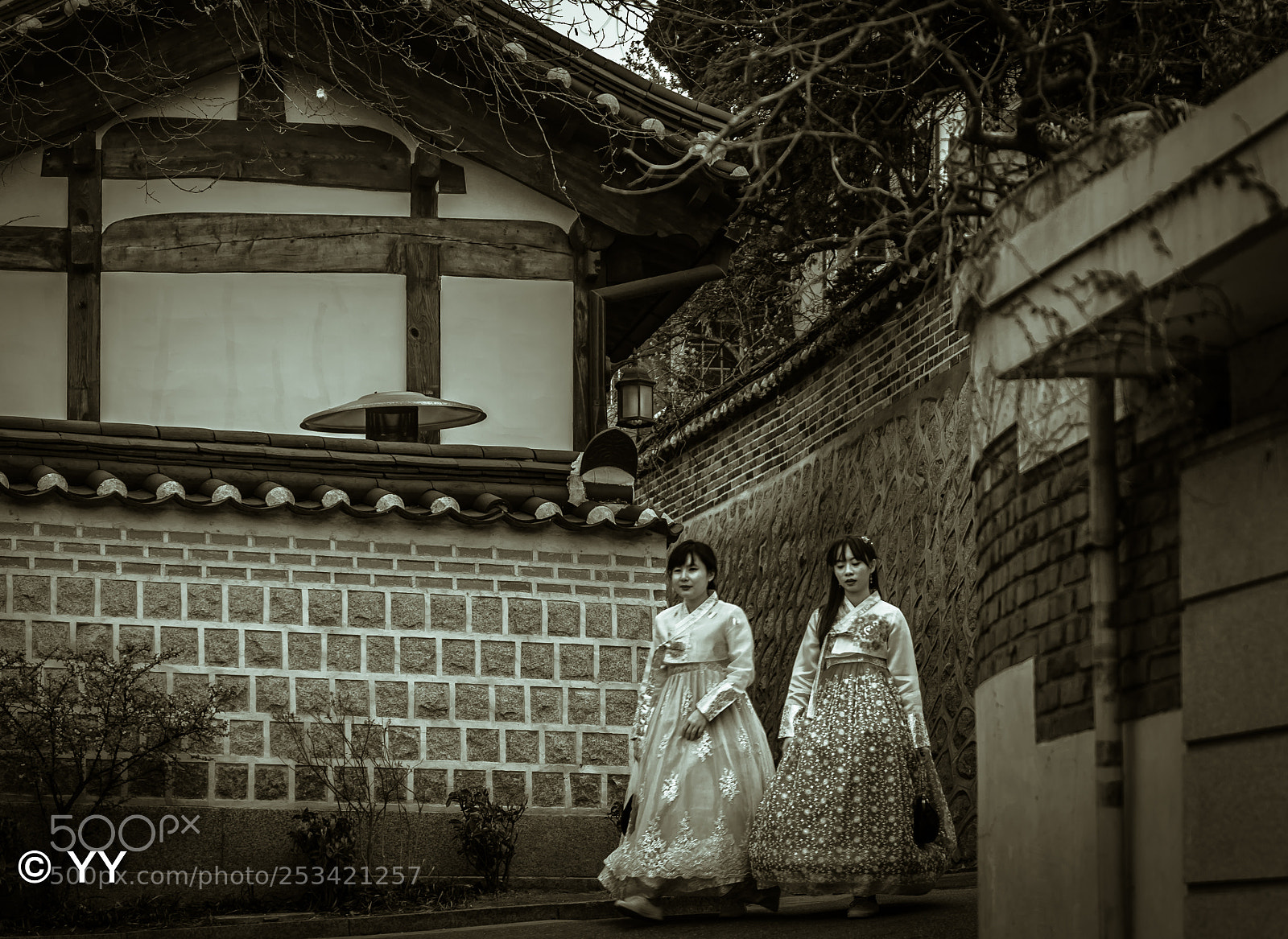 Nikon D610 sample photo. Korean ladies in traditional photography