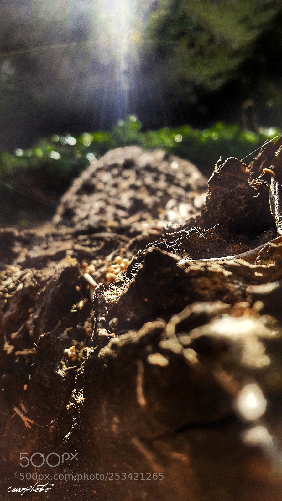 Samsung Galaxy S6 sample photo. Prospettiva photography