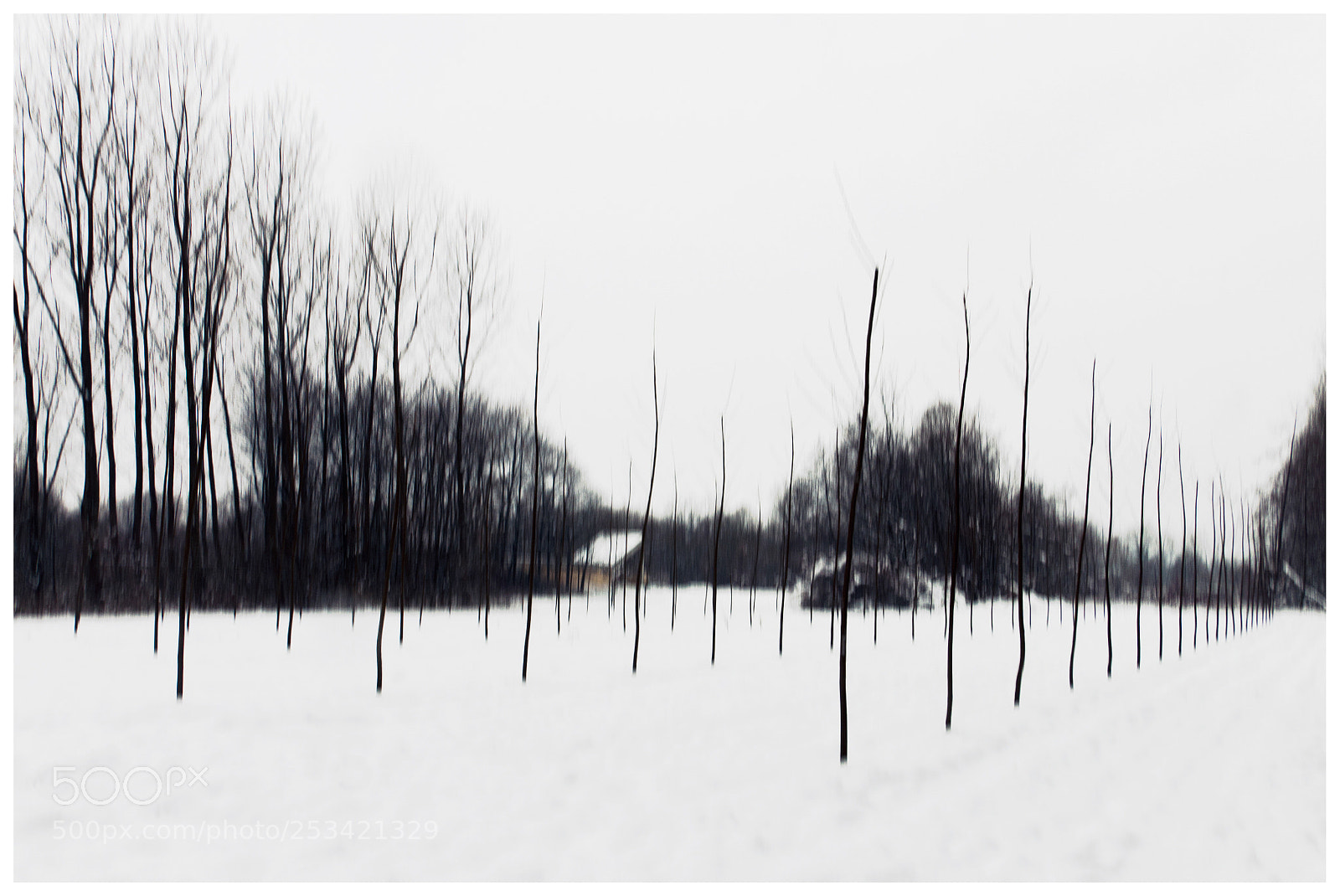 Nikon D5000 sample photo. |||free|||in the storm|||| photography