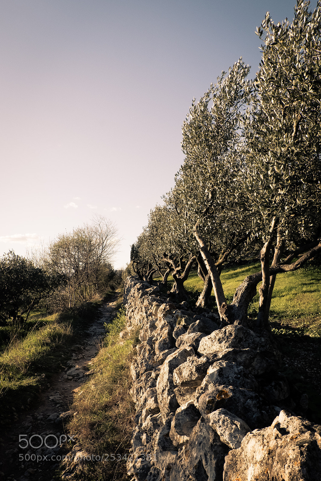 Fujifilm X-T20 sample photo. Sanrocchetto photography
