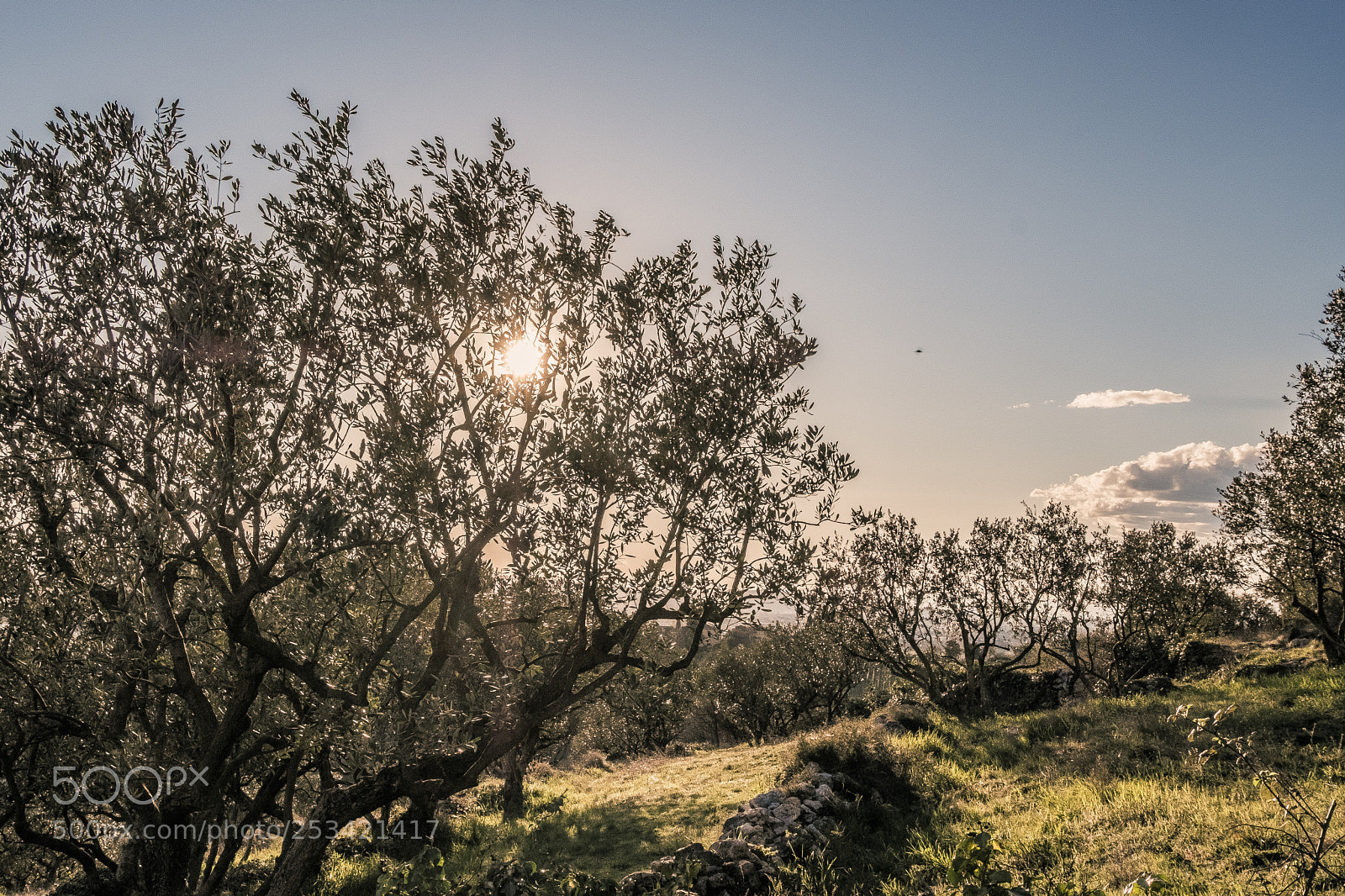 Fujifilm X-T20 sample photo. Sanrocchetto 4 photography