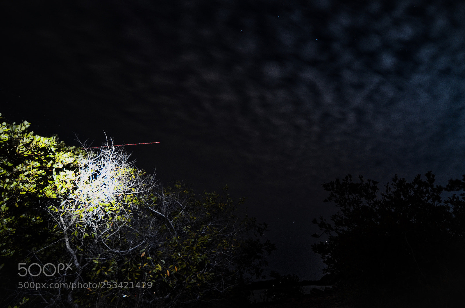 Nikon D5100 sample photo. Lost and found. photography