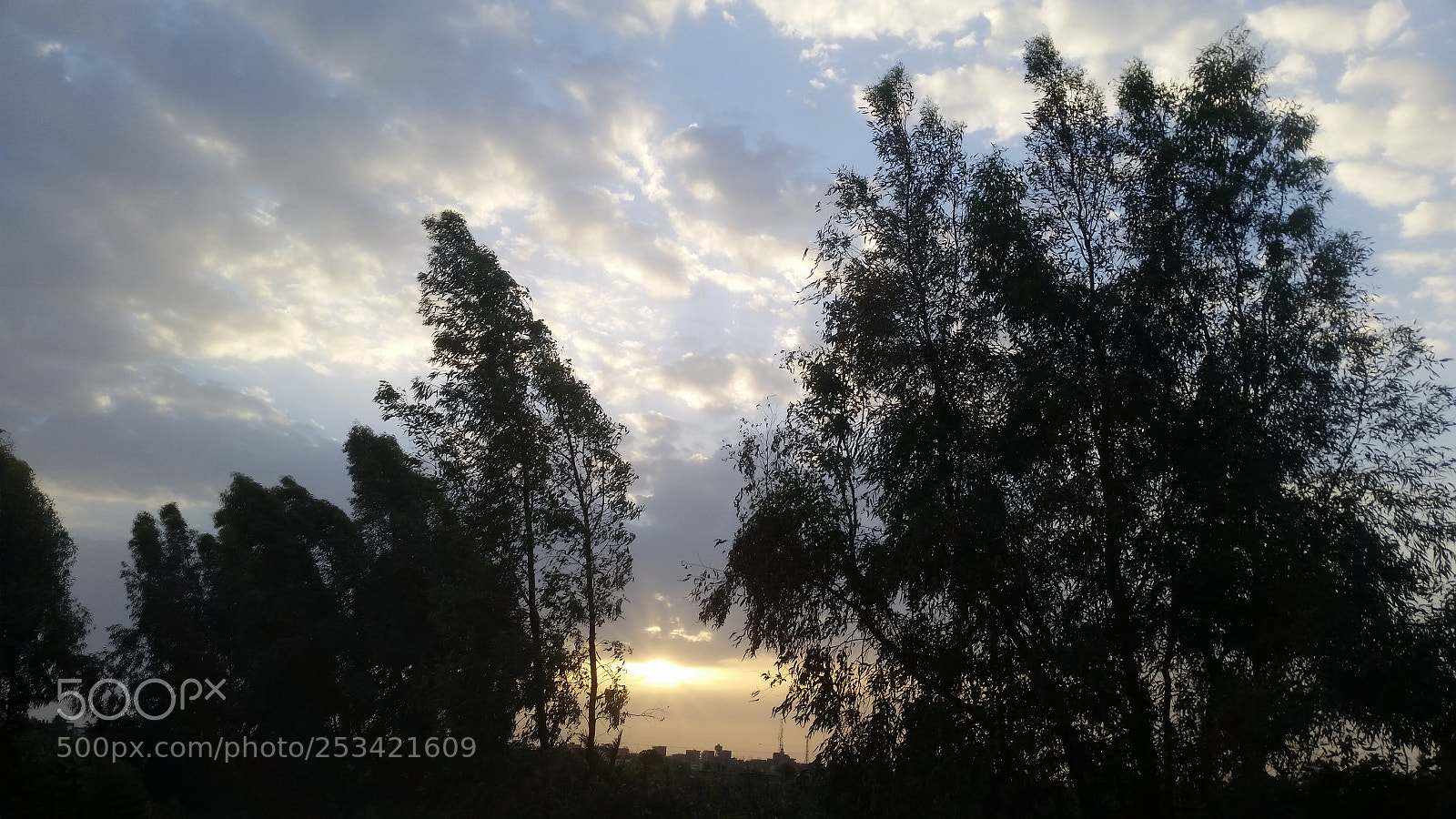 Samsung Galaxy S5 sample photo. 20180329_174932.jpg photography