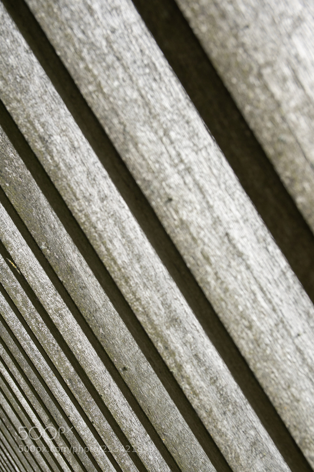 Sony ILCA-77M2 sample photo. Repetition photography