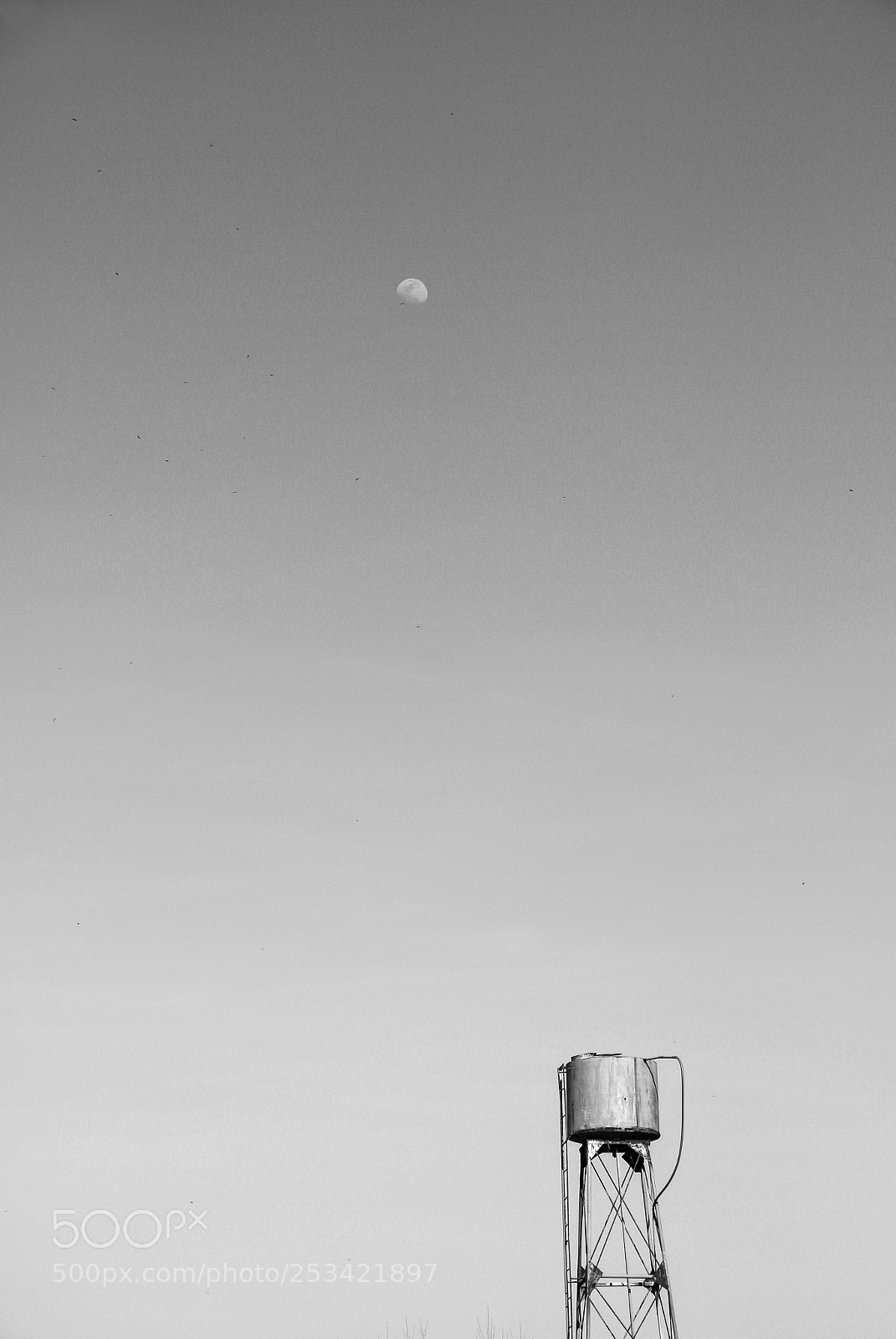 Canon EOS 70D sample photo. Untitled photography