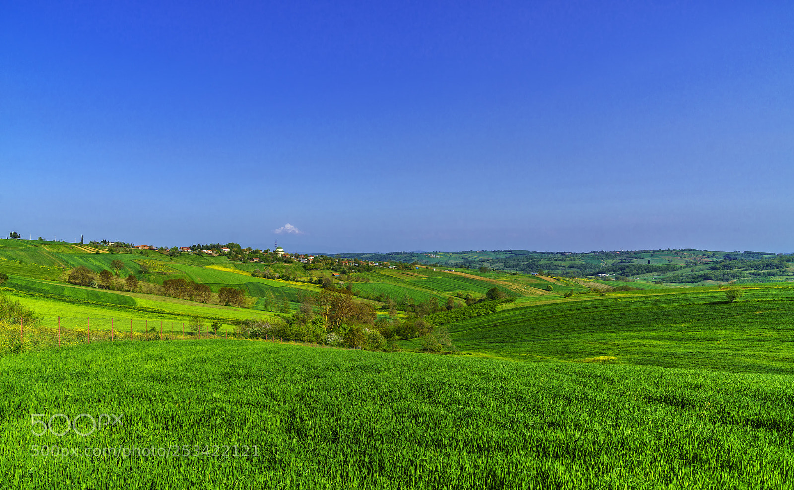 Sony a7R II sample photo. Spring (x)...... photography