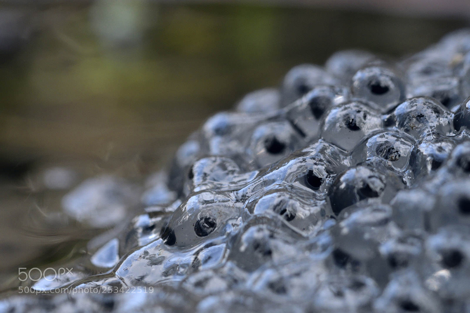 Nikon D7500 sample photo. New life photography