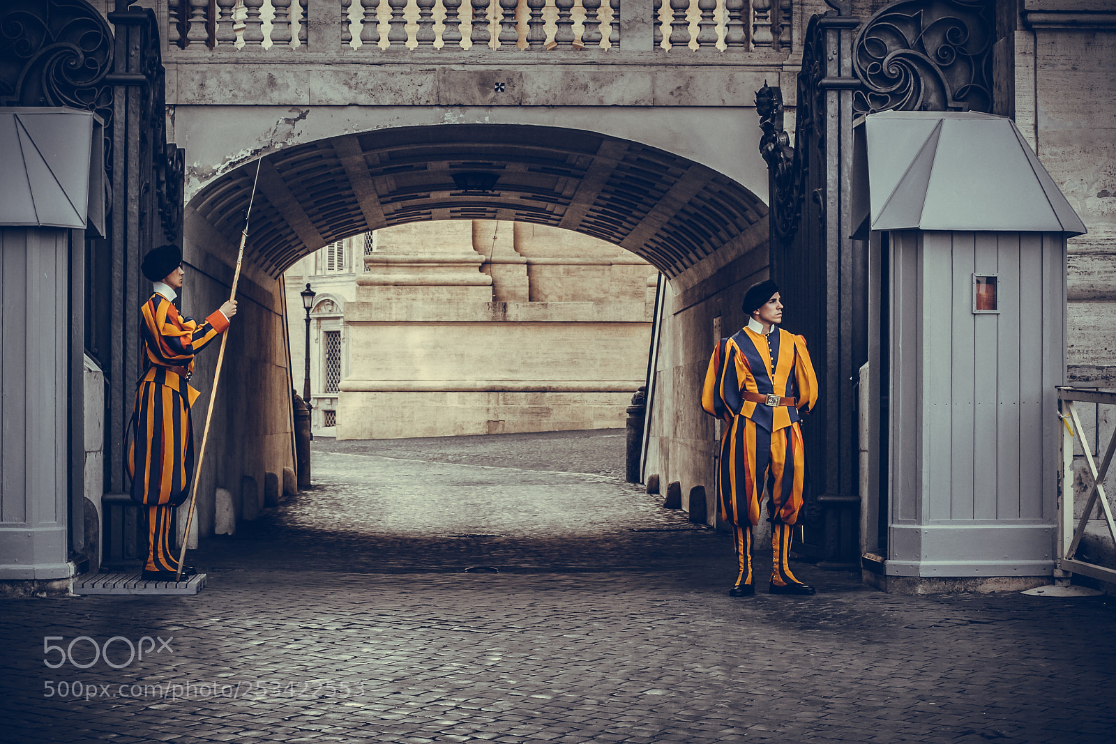 Canon EOS 60D sample photo. Vatican guards photography