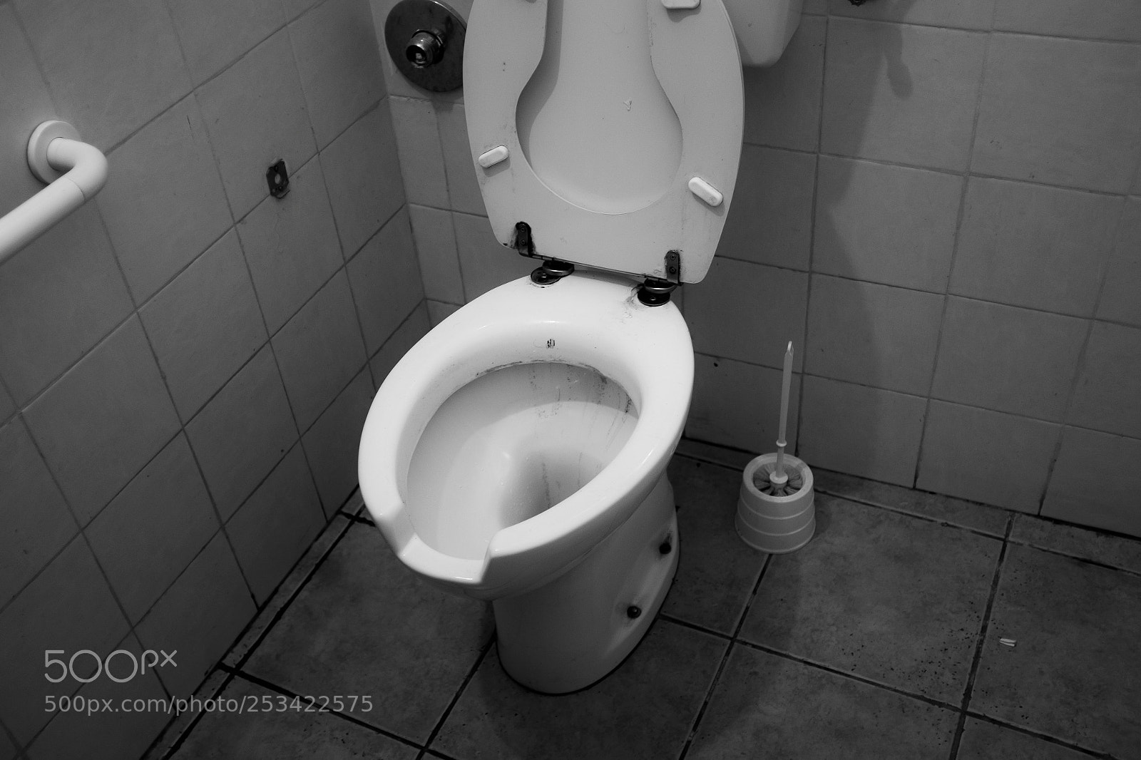 Fujifilm X100T sample photo. Stinking like a... photography