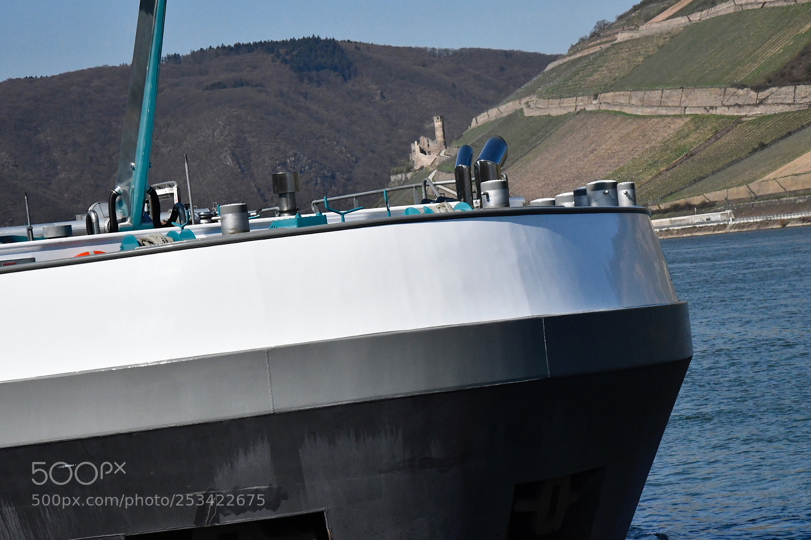 Nikon D7500 sample photo. Big bow photography