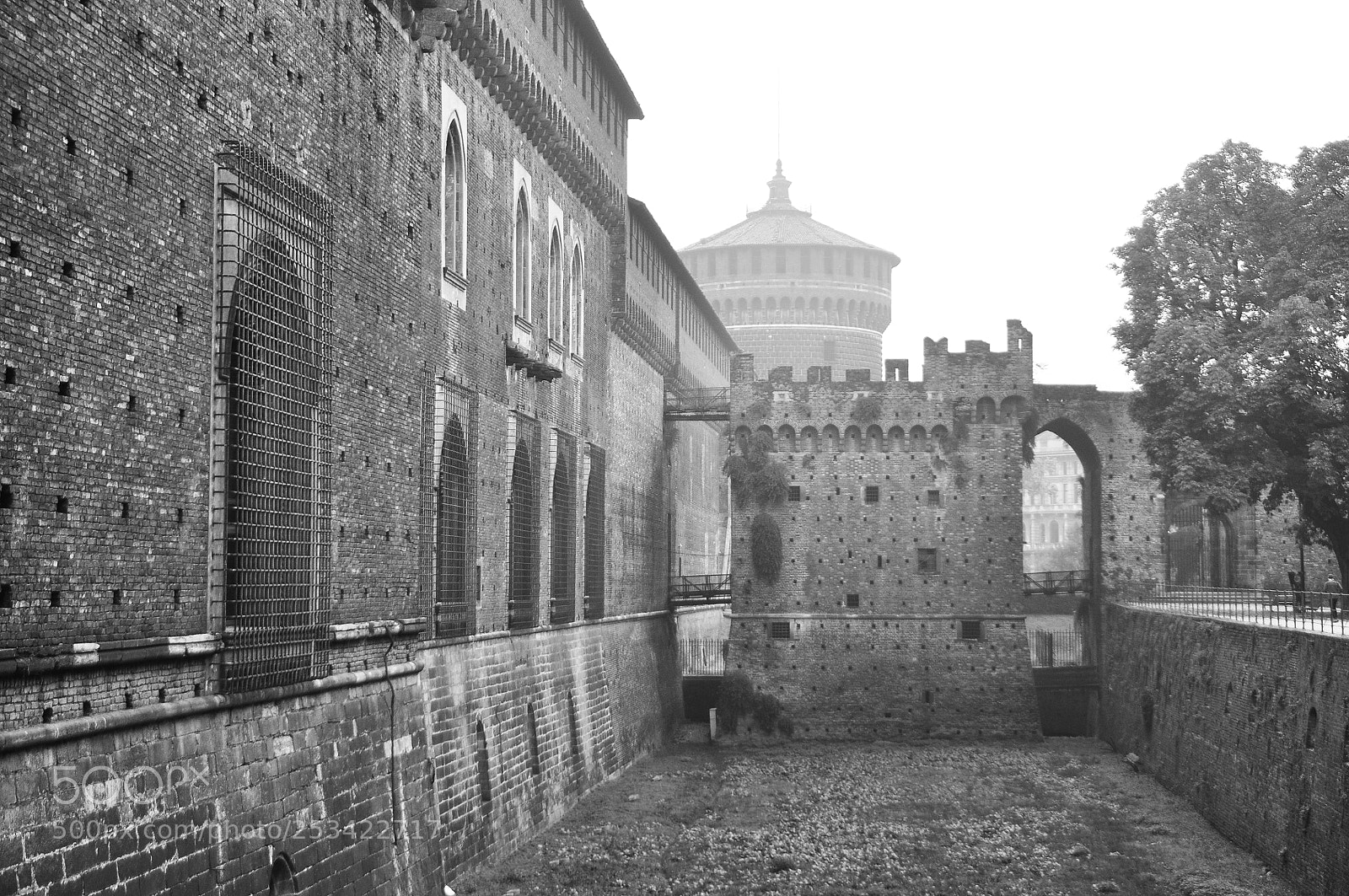 Nikon D90 sample photo. Foggy castle photography