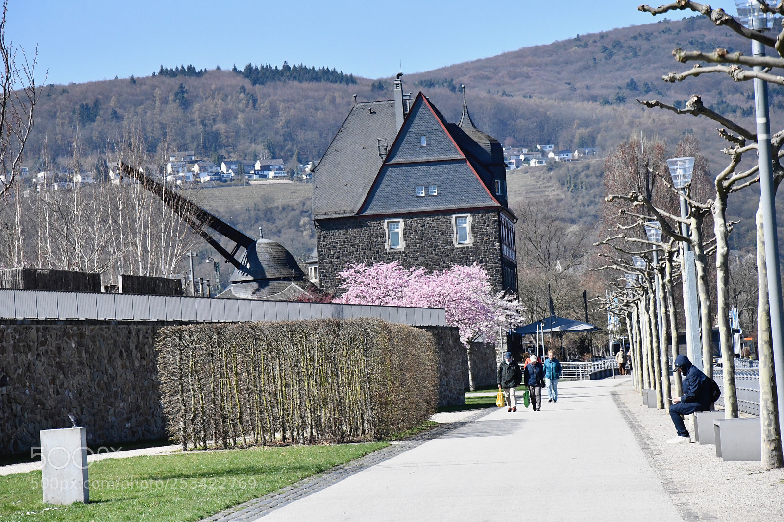Nikon D7500 sample photo. Altes zollhaus bingen with photography