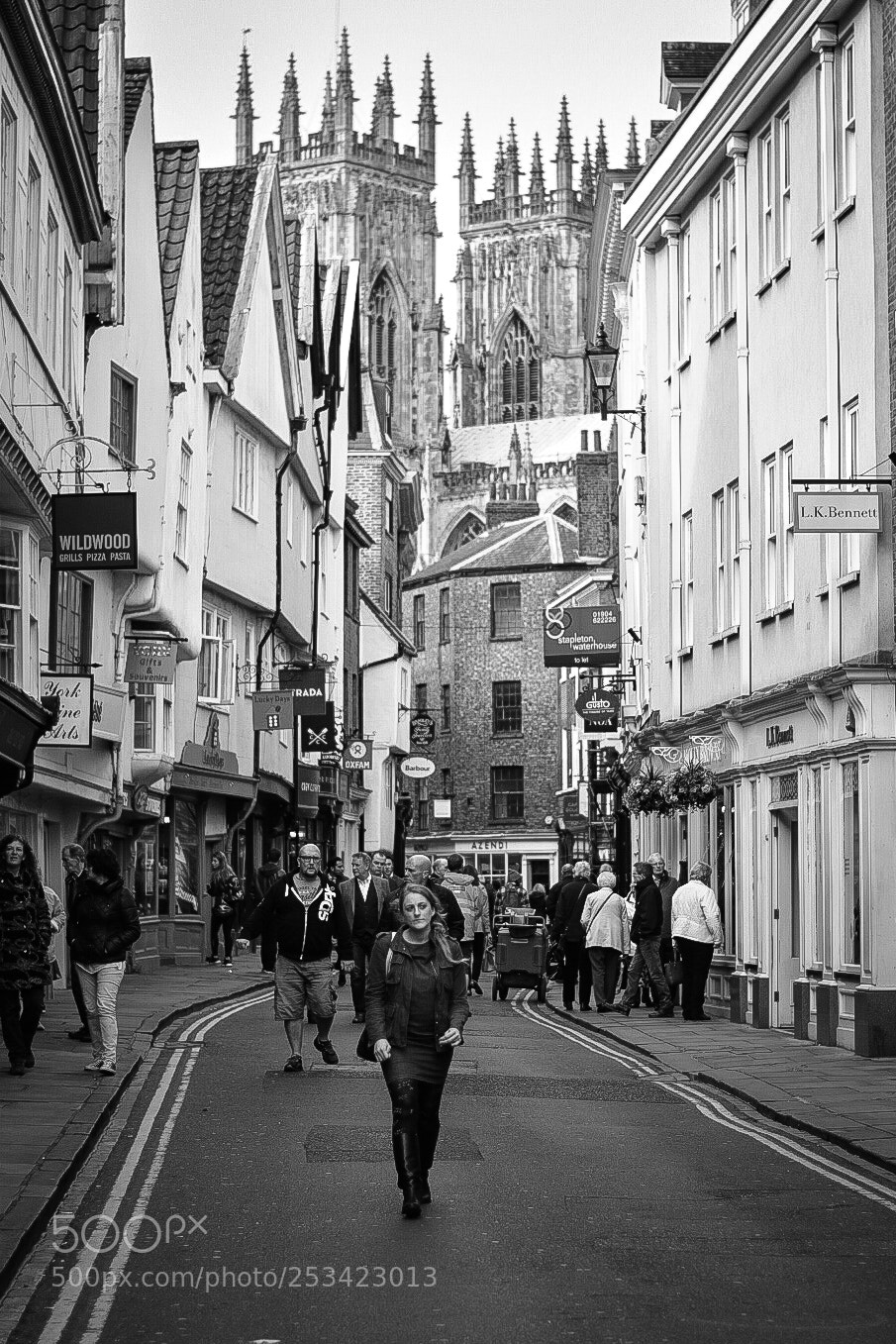 Nikon D5600 sample photo. York minster towering above photography