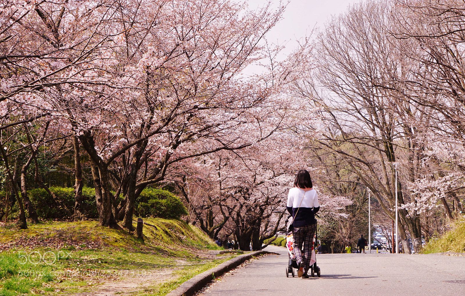 Sony a5100 sample photo. Dsc photography