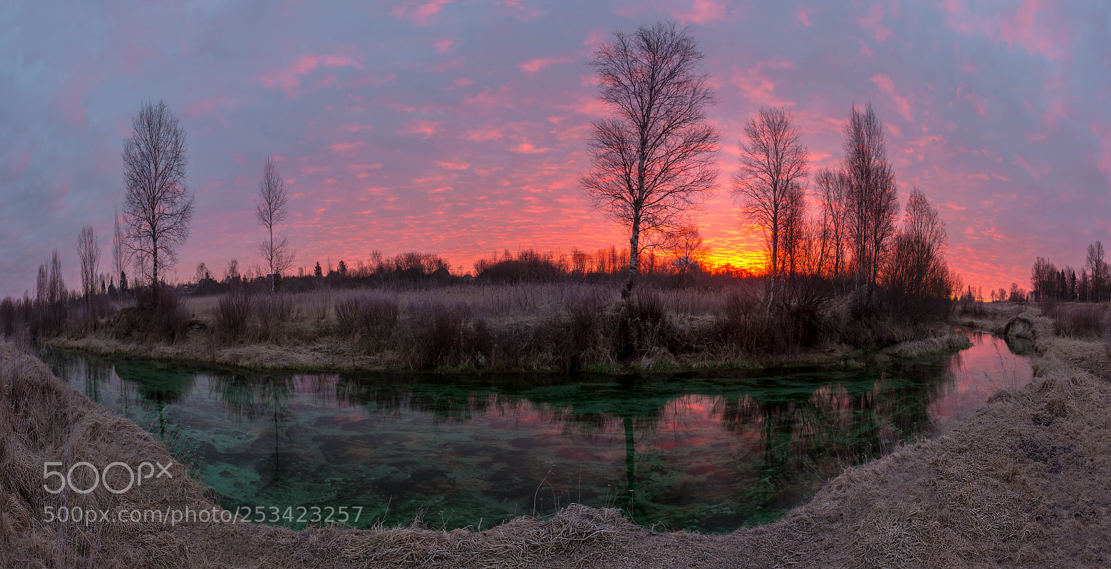 Canon EOS 60D sample photo. Spring dawn on the photography