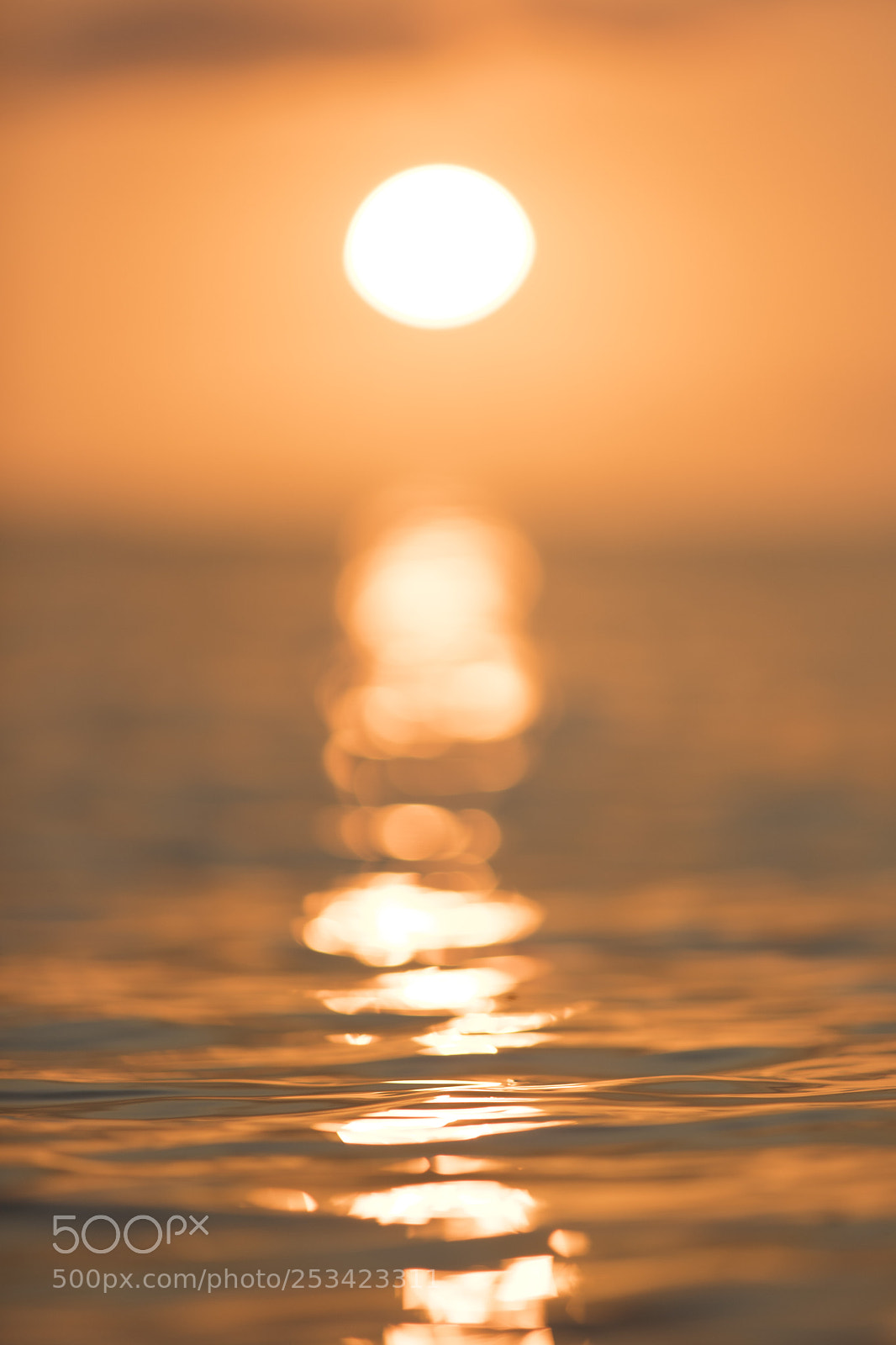 Canon EOS 5D Mark IV sample photo. First light photography