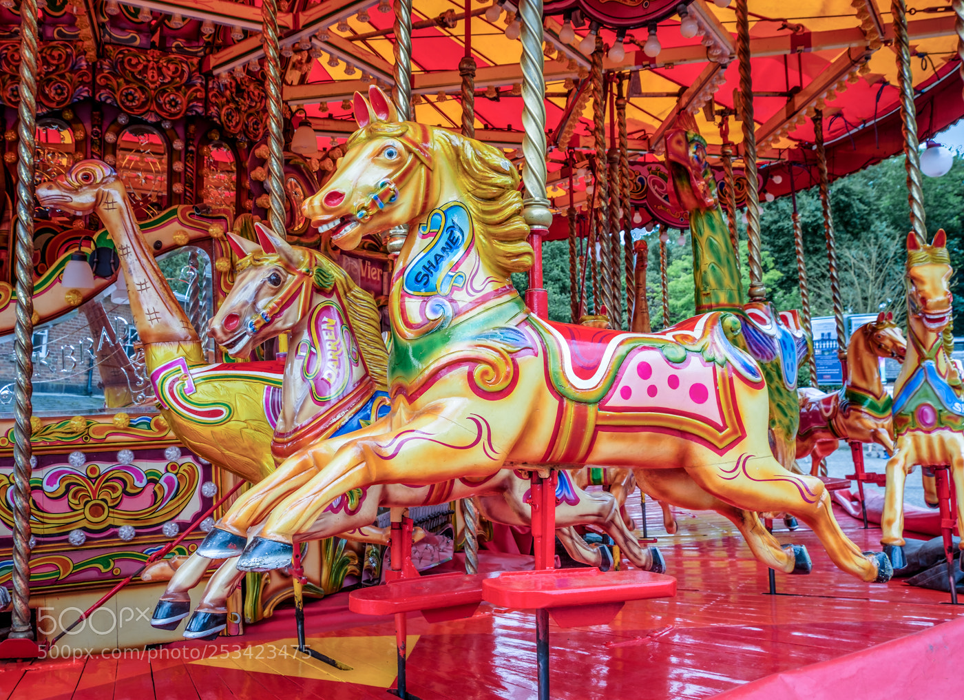 Fujifilm X-T2 sample photo. Galloper photography