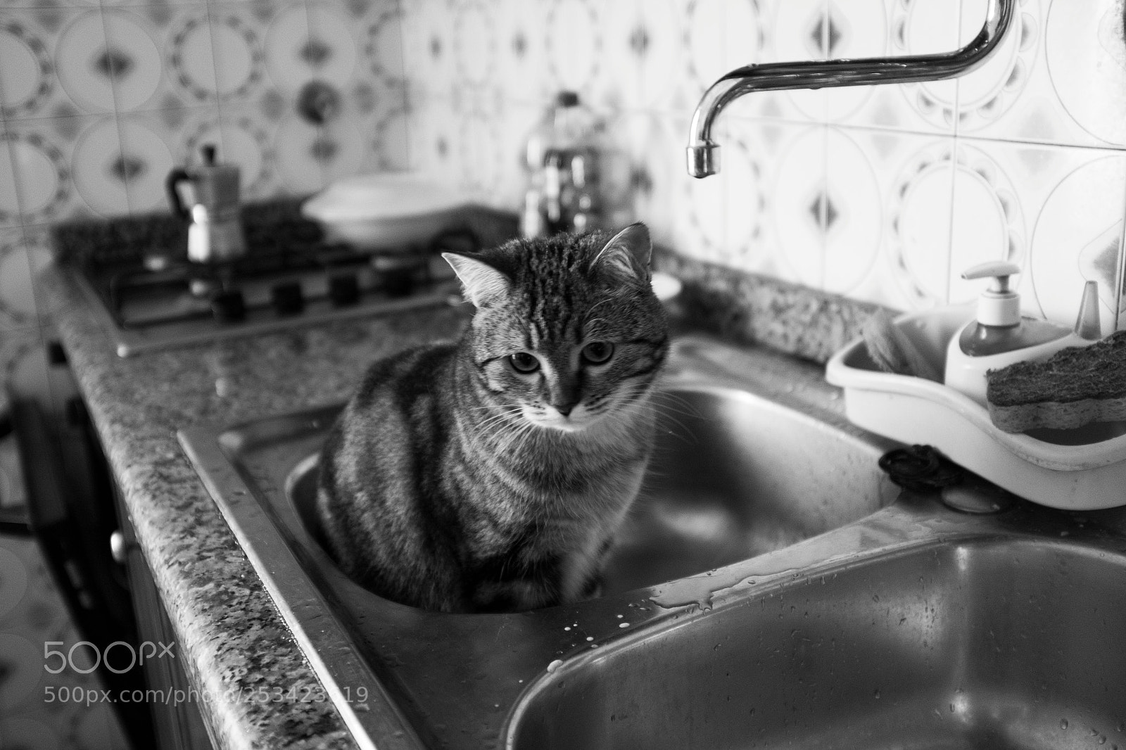 Fujifilm X100T sample photo. Waiting for lunch photography