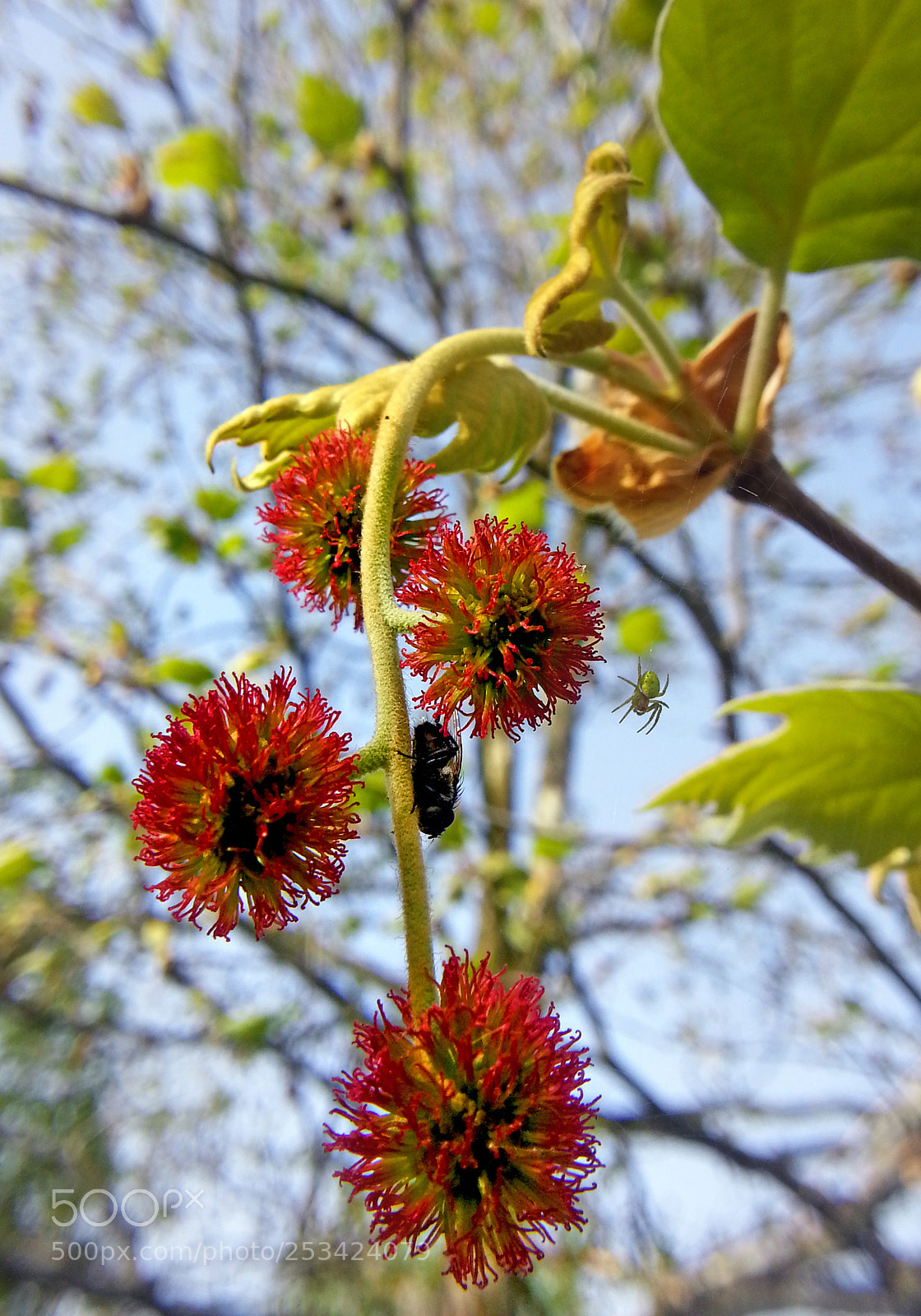 Samsung Galaxy Note2 sample photo. Plane photography