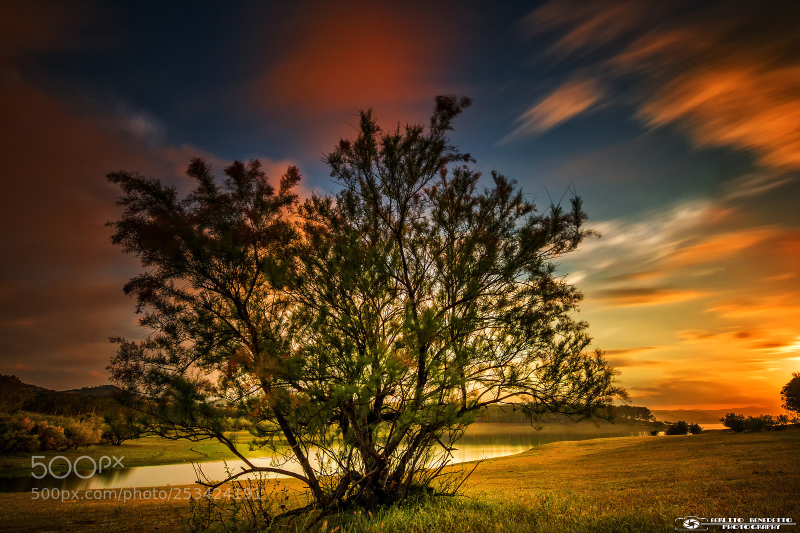 Canon EOS 70D sample photo. Albero photography