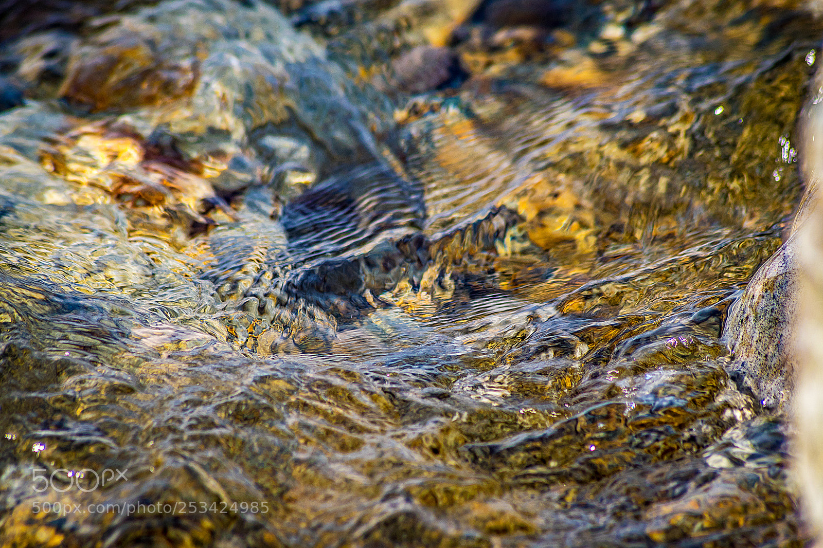 Nikon D5300 sample photo. Naturaleza abstracta photography