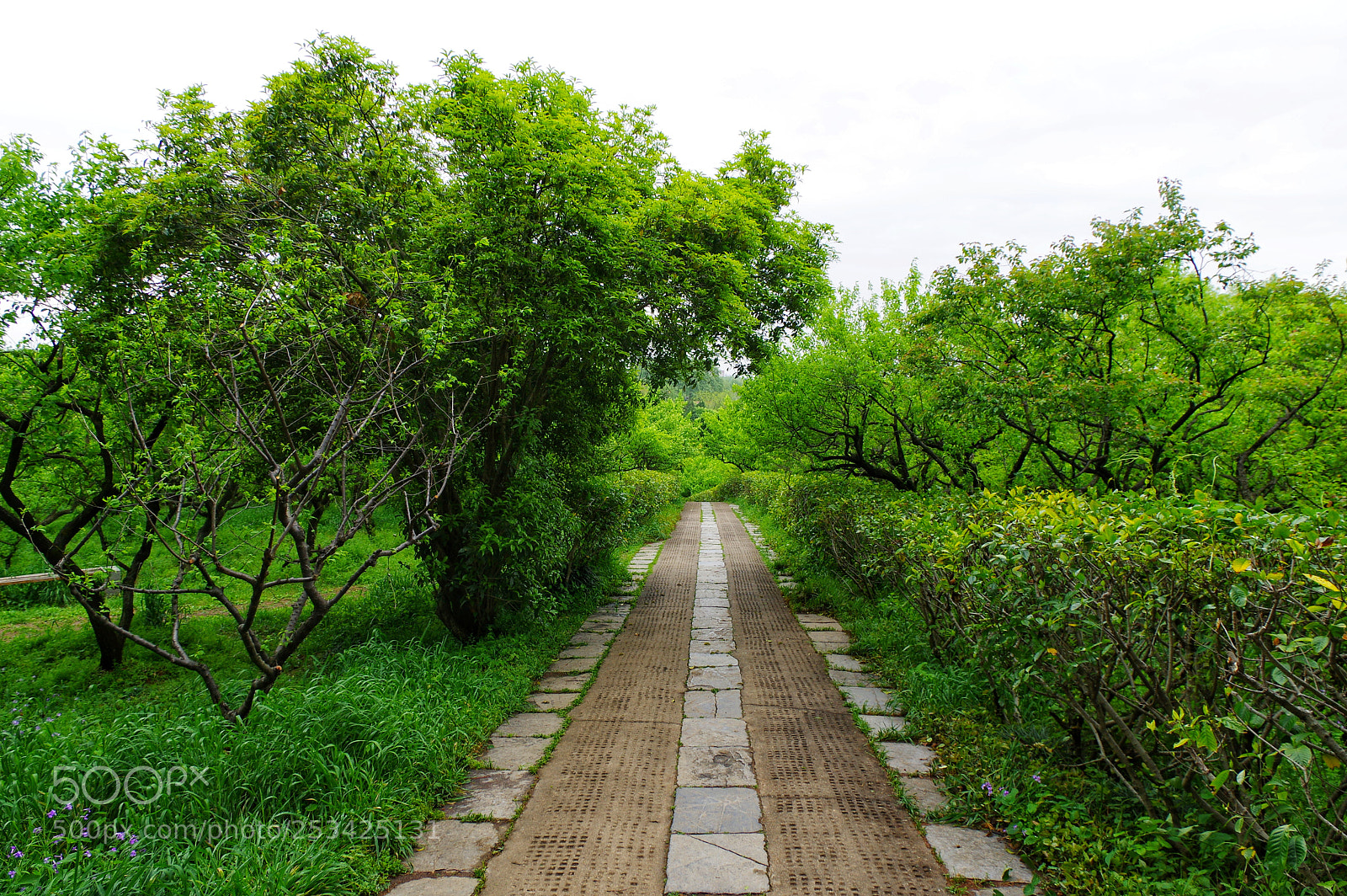 Pentax K-3 II sample photo. Untitled photography