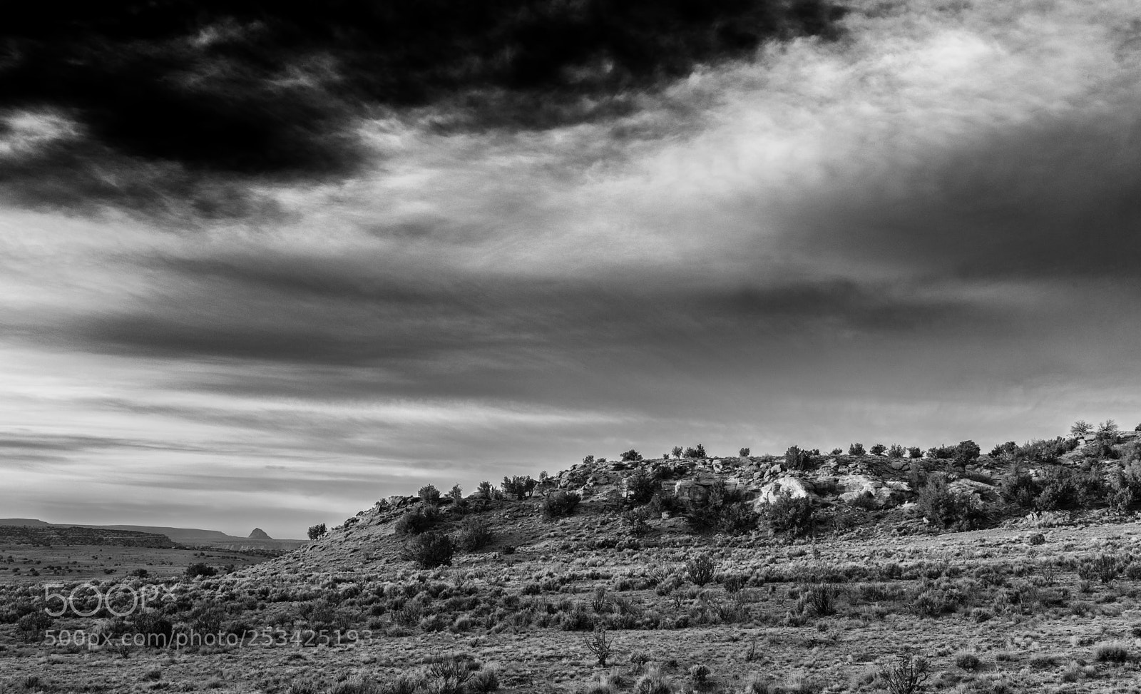 Canon EOS 5D Mark IV sample photo. Empedrado b&w photography