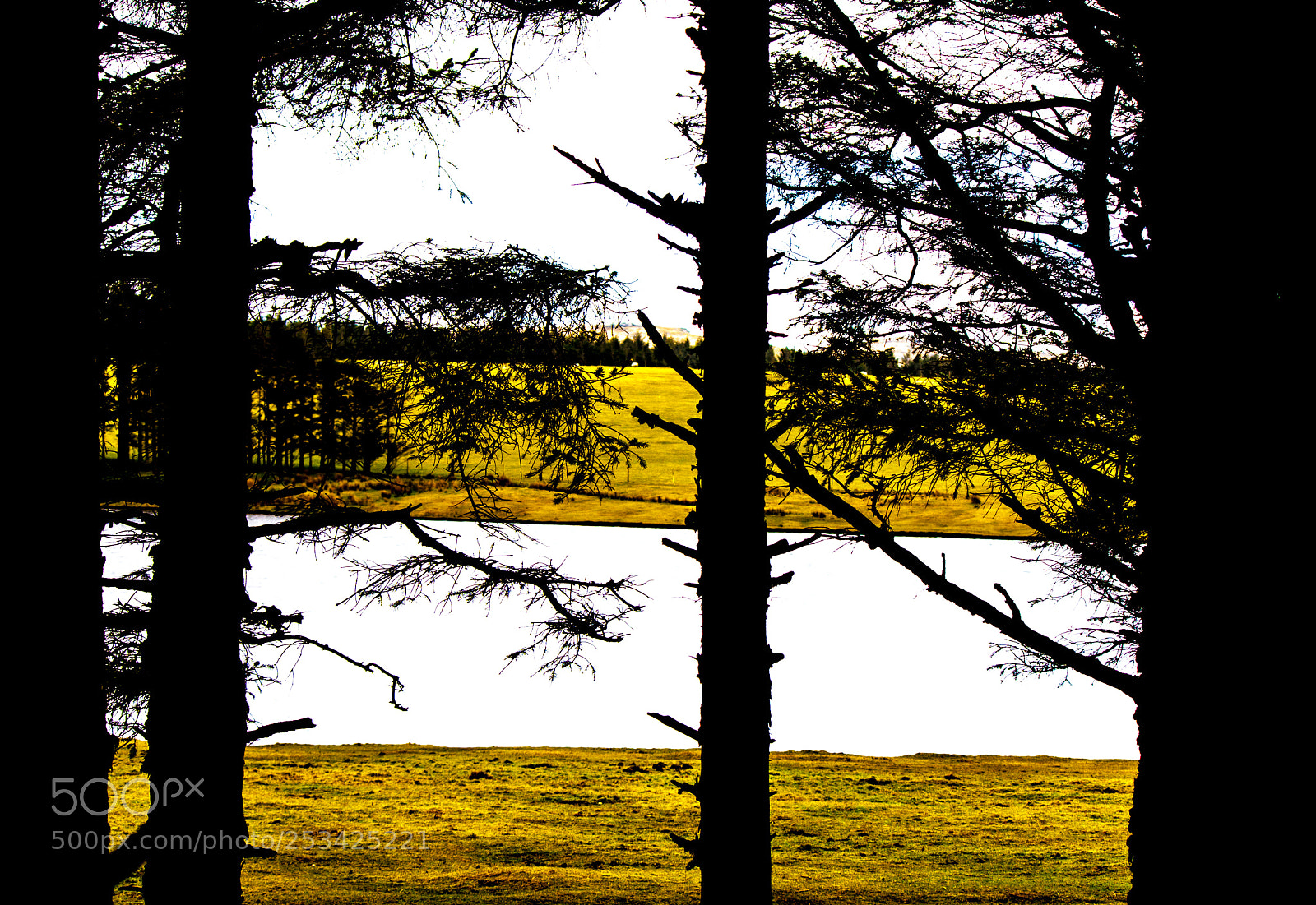 Canon EOS 40D sample photo. Crowdy abstract photography