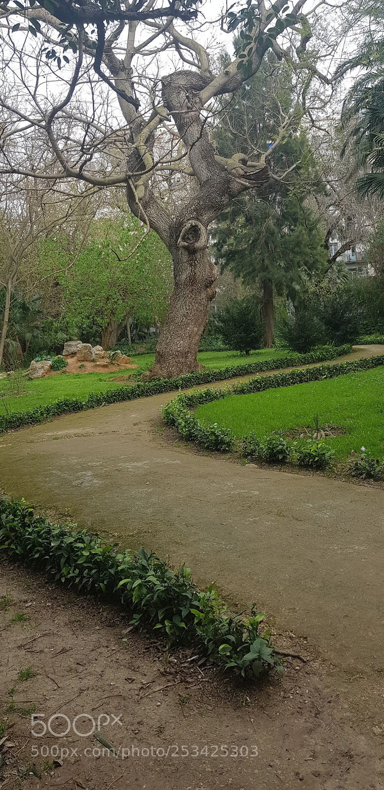 Samsung Galaxy S8 sample photo. Untitled photography